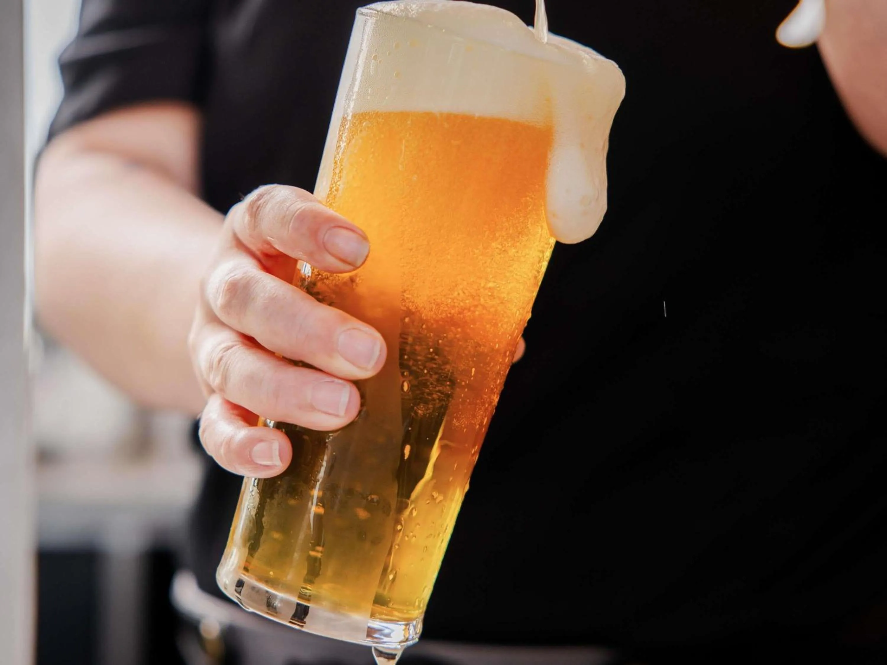 Lounge or bar in Novotel Devonport