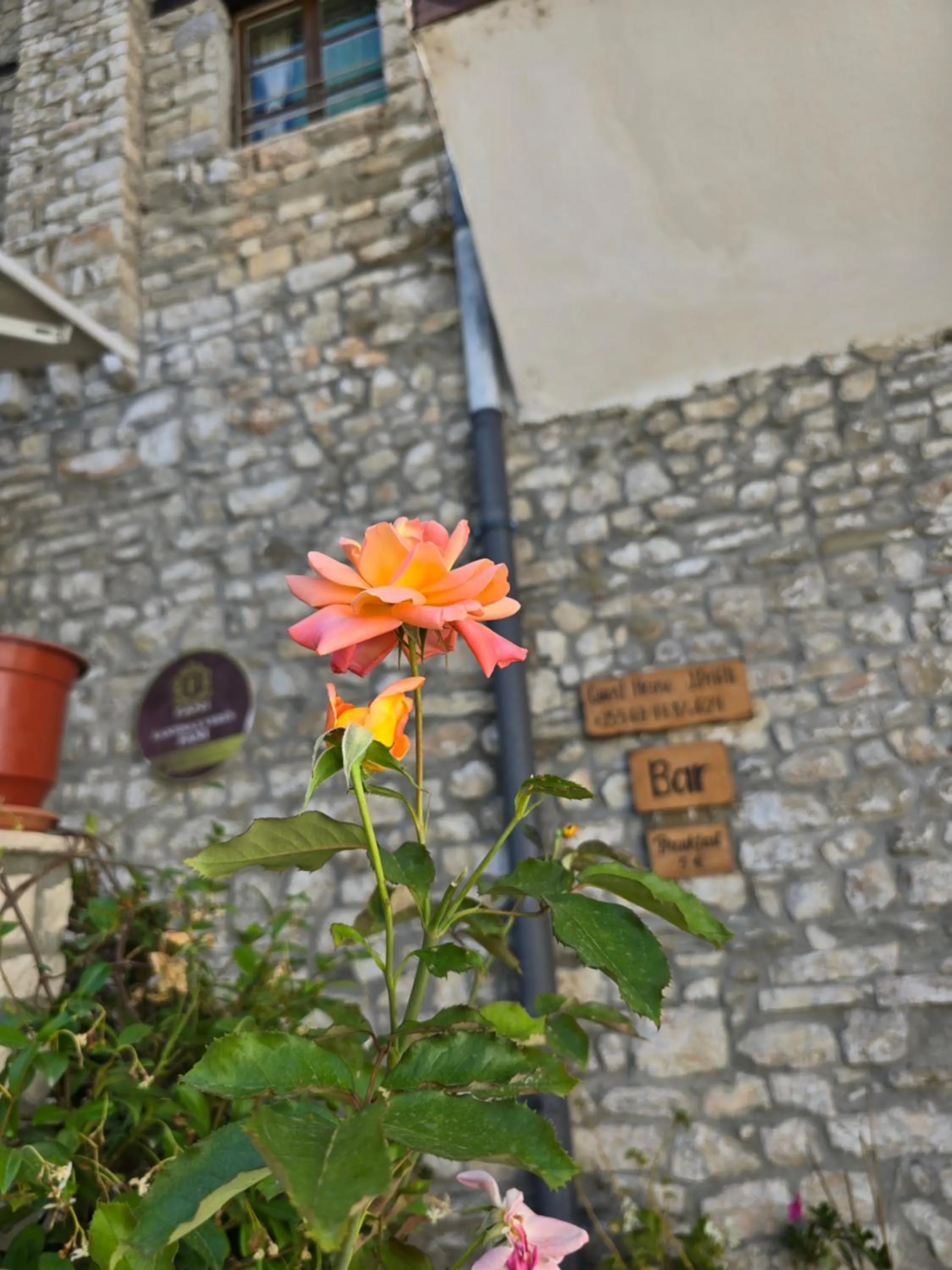 Guest House J.Prifti