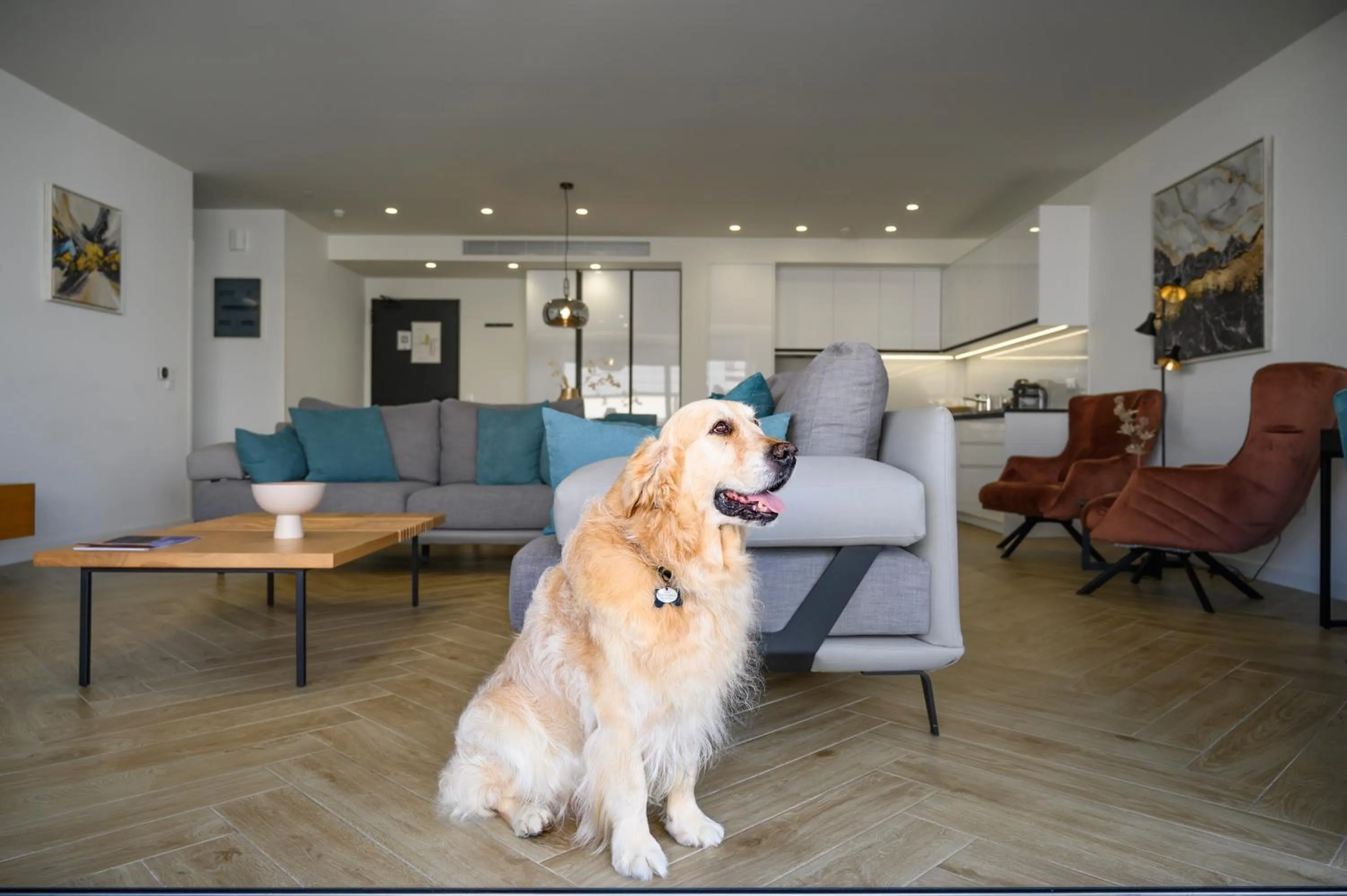 Pets in Hestia - Dimitressa 4