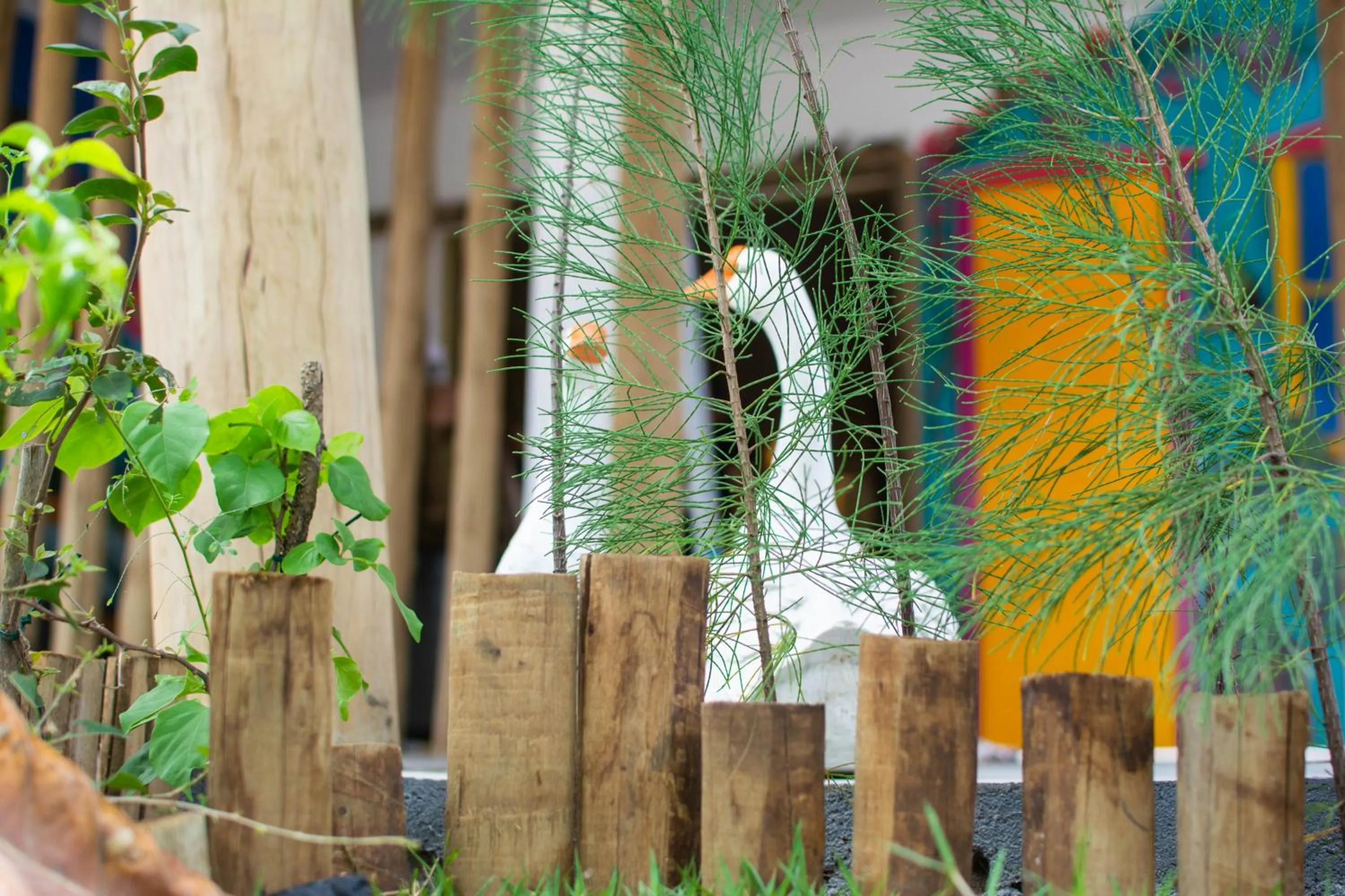 Garden in Villa Paihia Jericoacoara