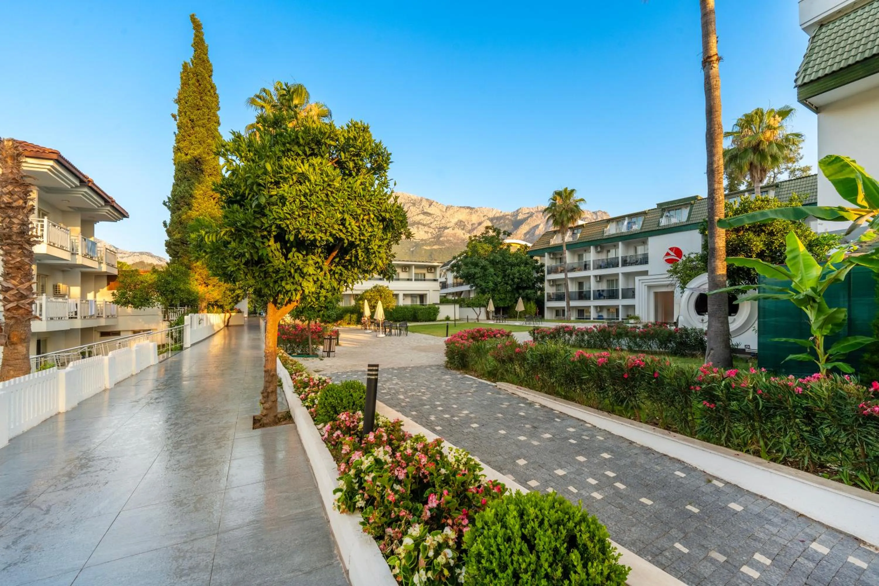 Property building in Armas Gul Beach