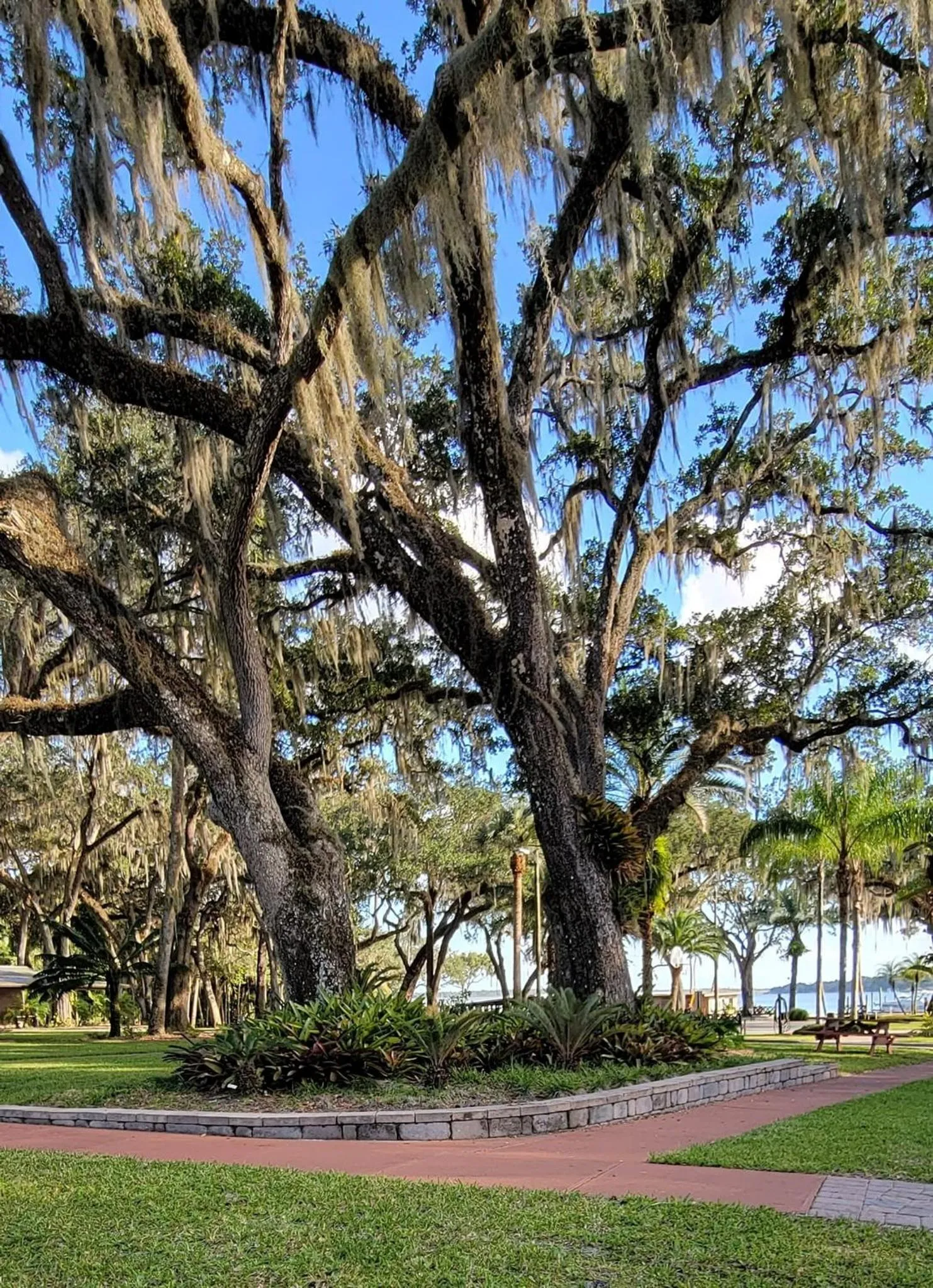 Tropical Marina & Resort on Lake Beresford