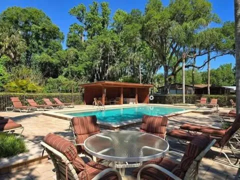 Swimming pool in Tropical Marina & Resort on Lake Beresford
