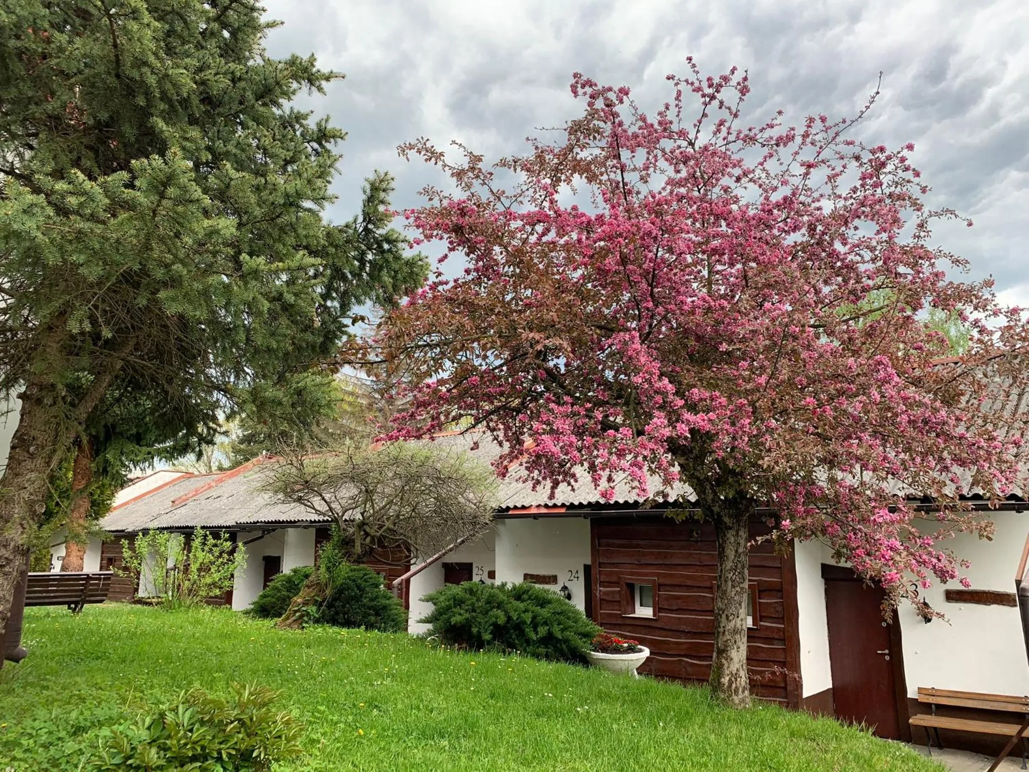 View (from property/room) in Centrum Wypoczynku ODYS