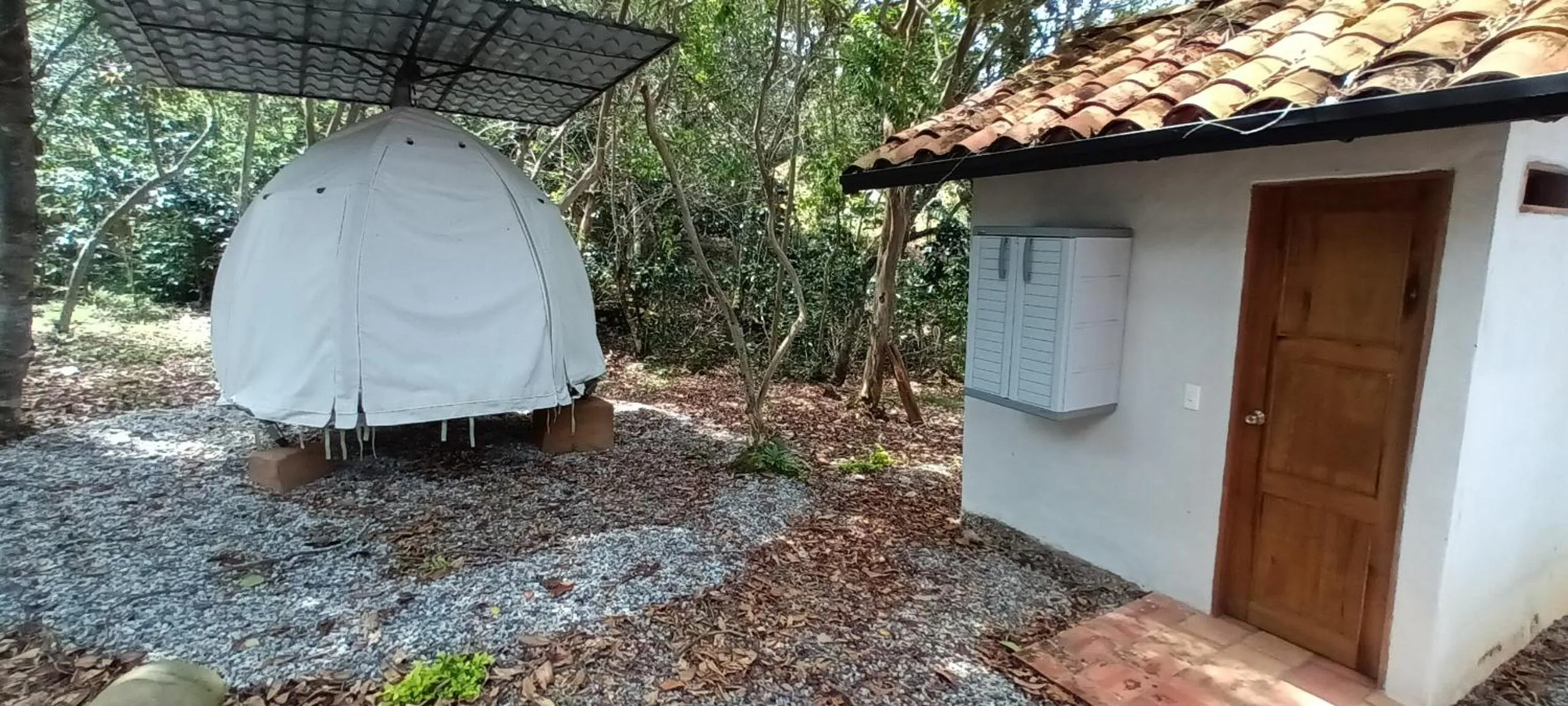 Garden in Hotel Cariguá