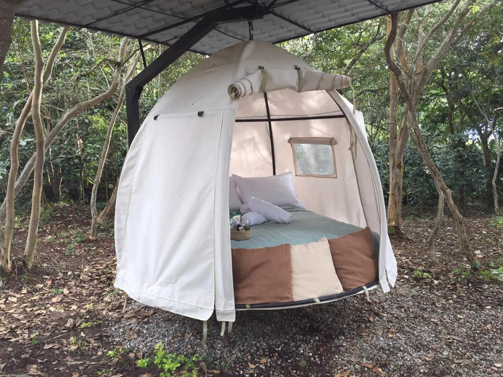 Garden view in Hotel Cariguá