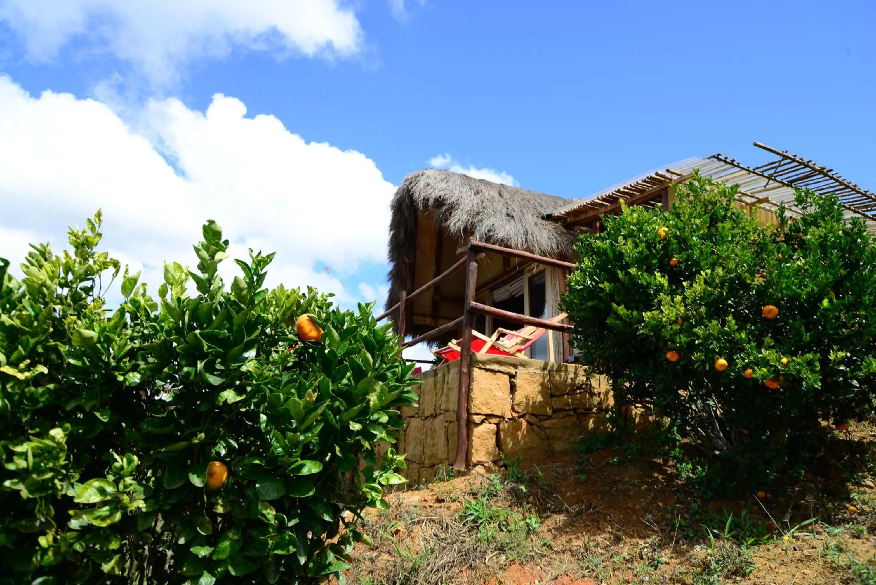 Day in Hotel Cariguá