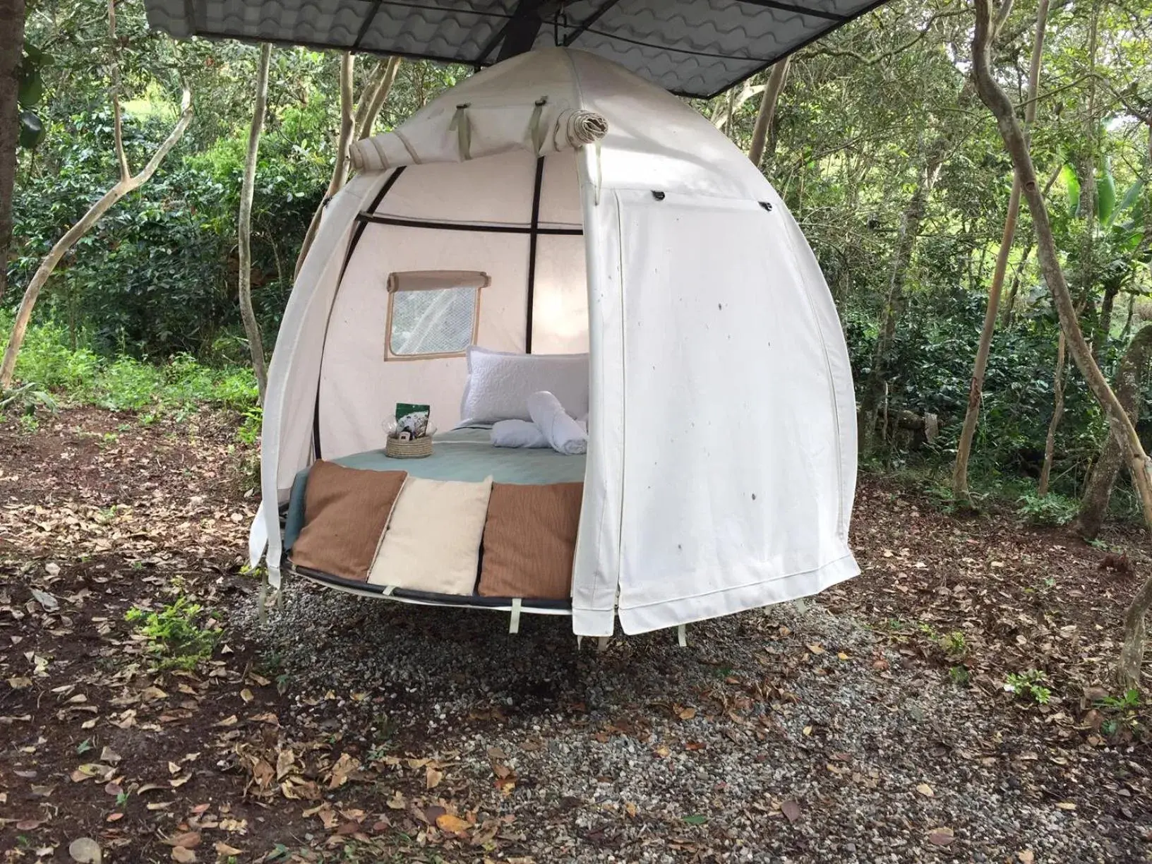 Tent - single occupancy in Hotel Cariguá Tent - single occupancy in Hotel Cariguá