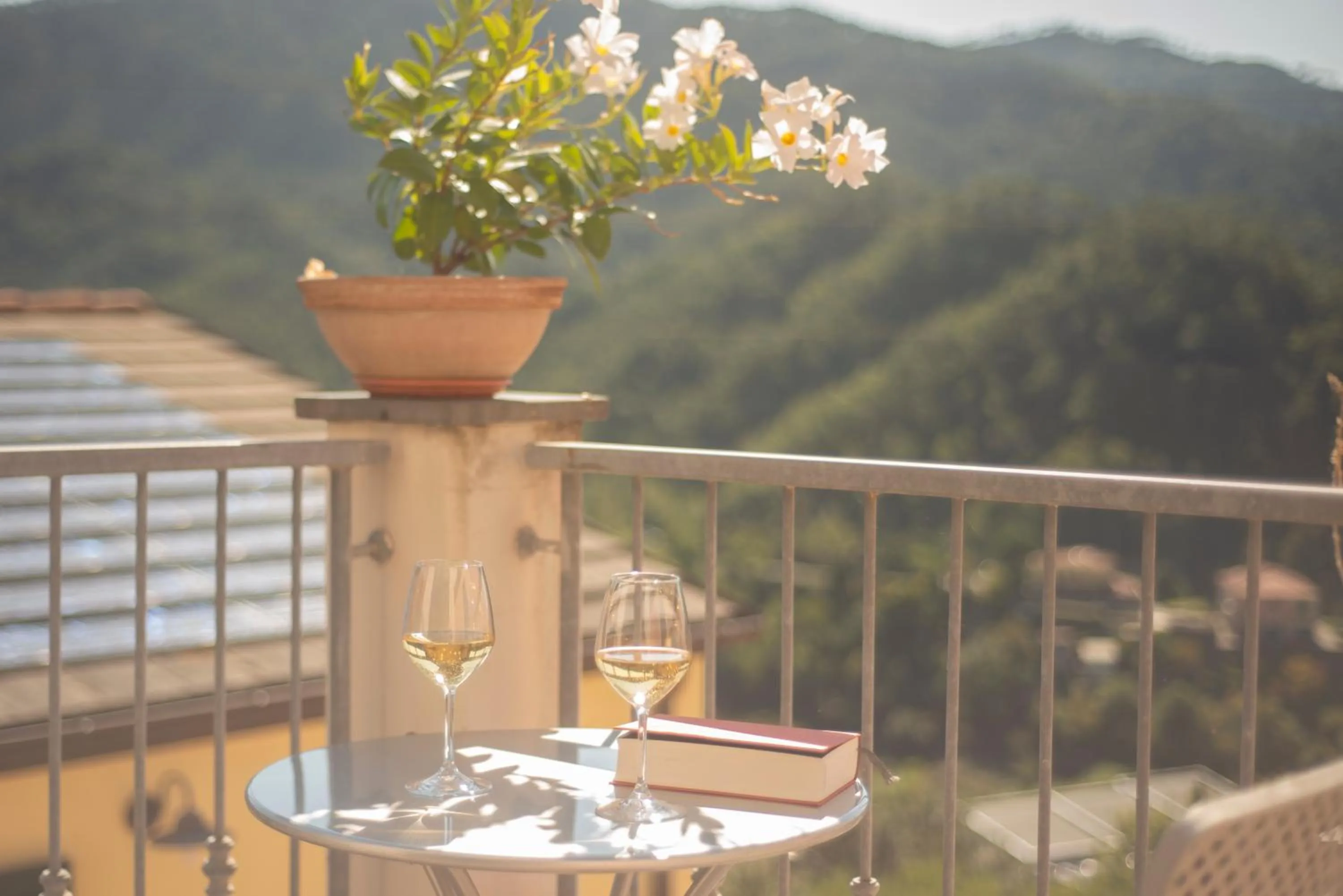 Balcony/Terrace in Hotel Al Terra Di Mare