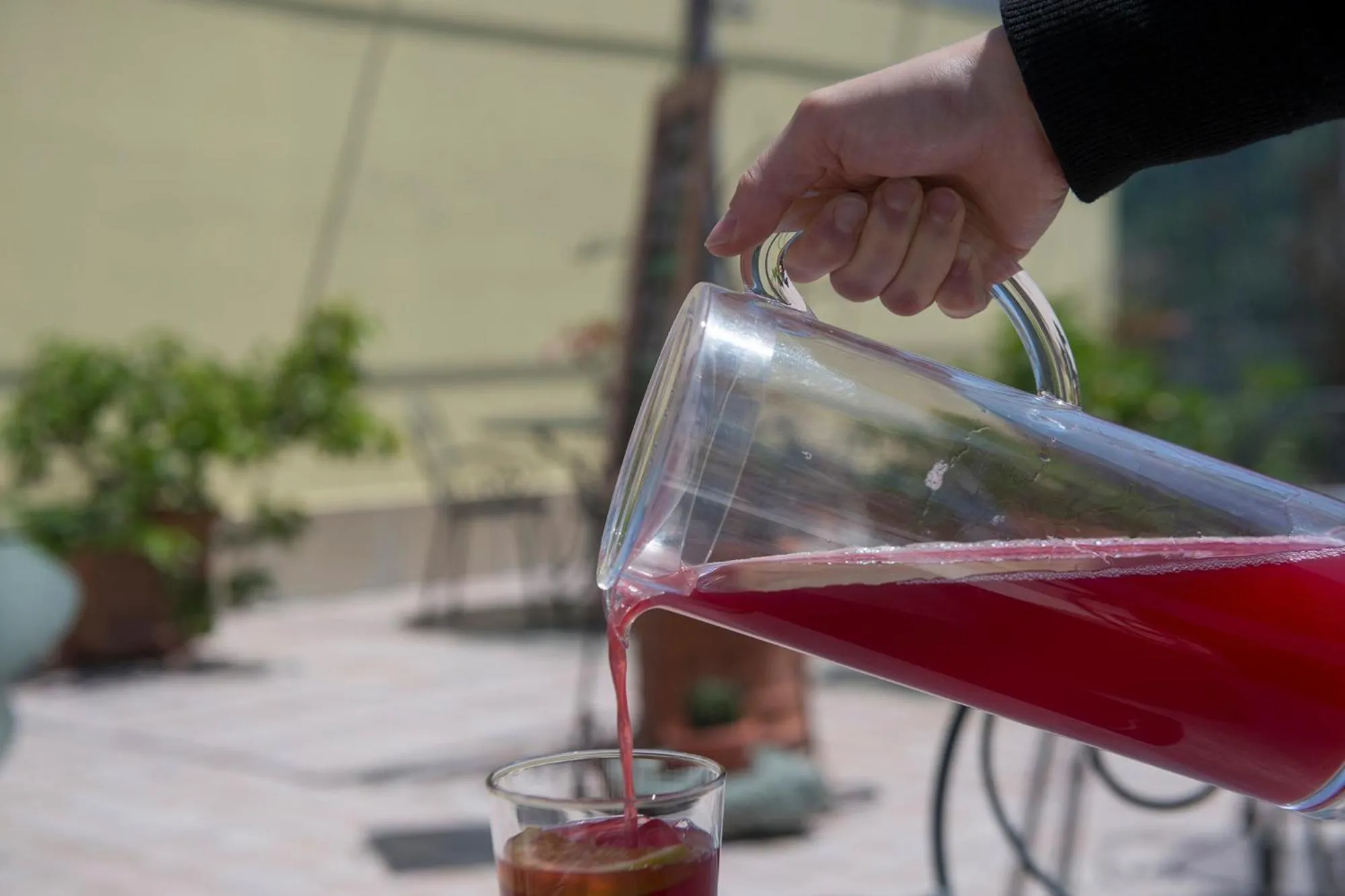 Non alcoholic drinks in Hotel Al Terra Di Mare