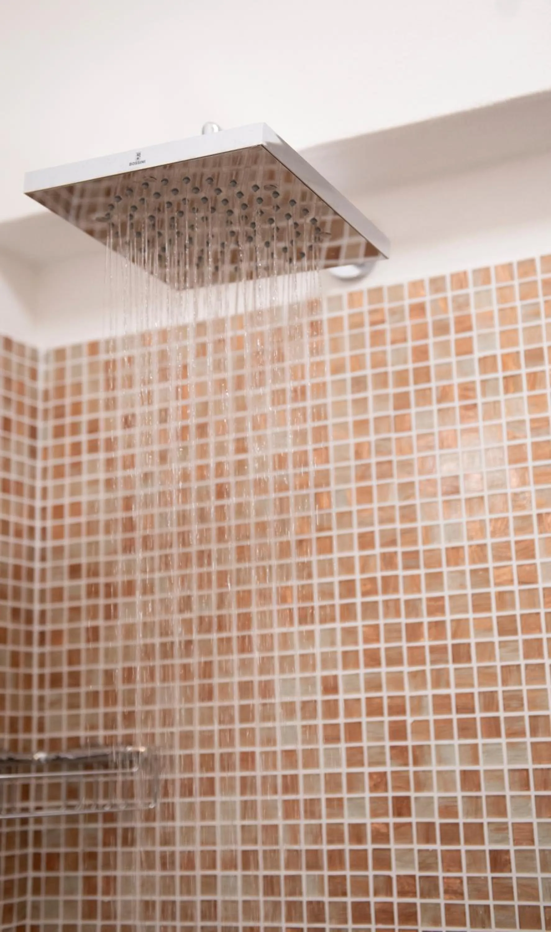 Shower in Hotel Al Terra Di Mare