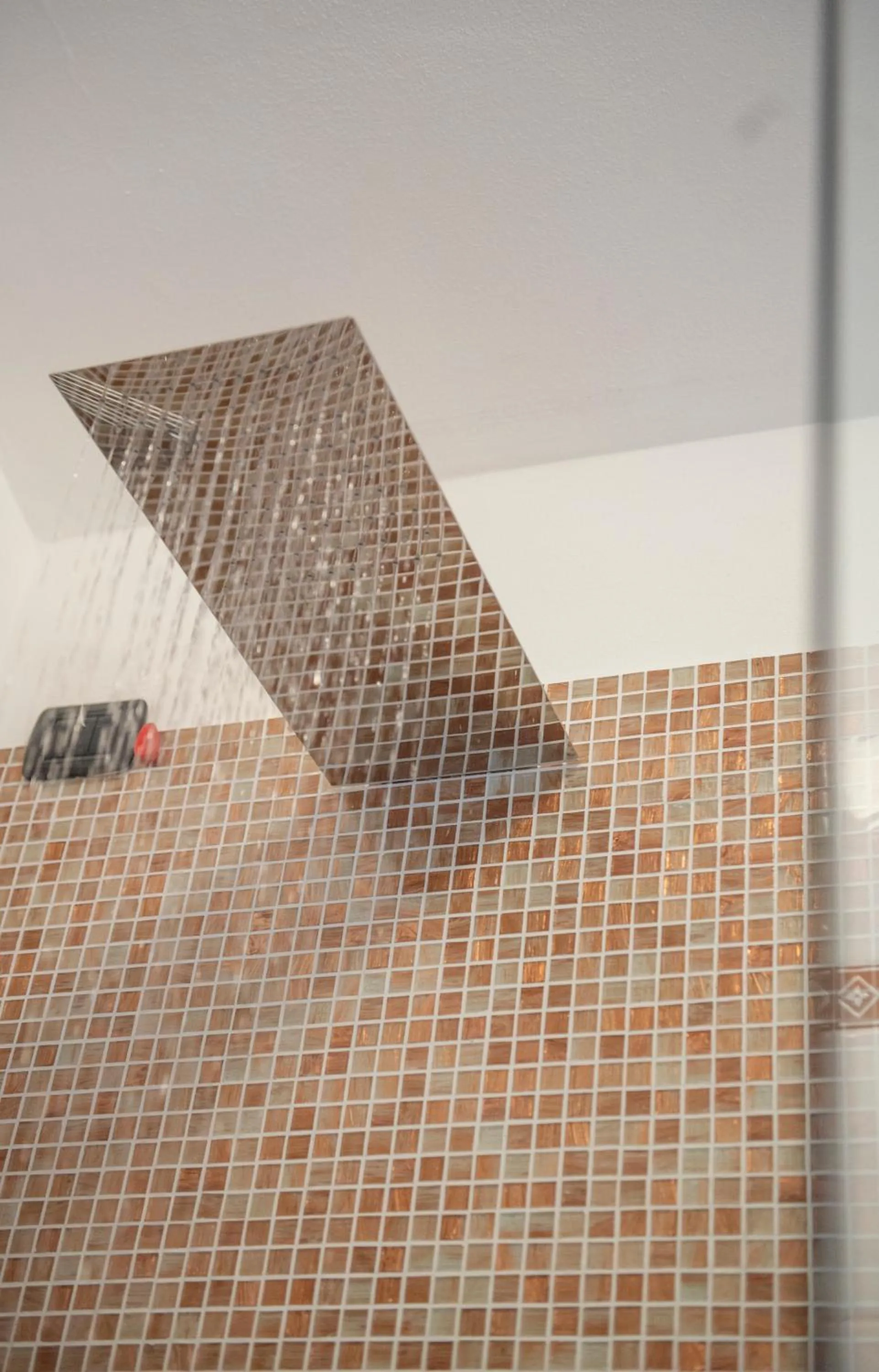 Shower in Hotel Al Terra Di Mare