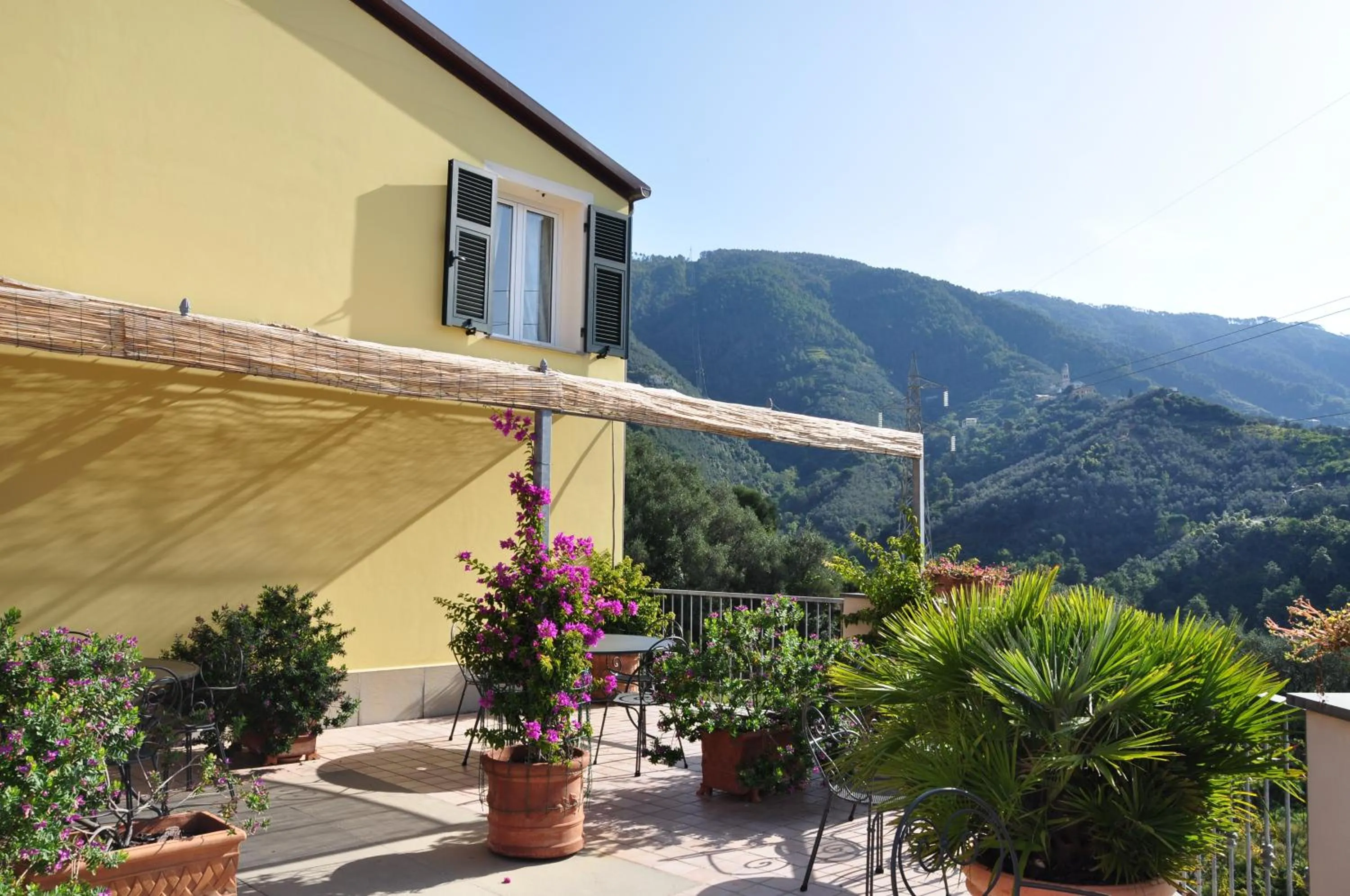 Restaurant/places to eat in Hotel Al Terra Di Mare