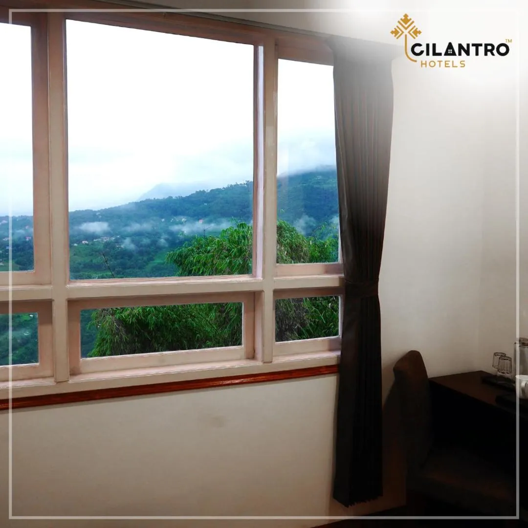 Mountain view in Cilantro Comfort