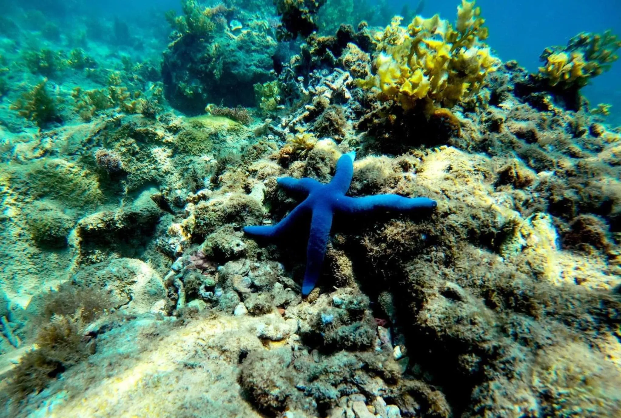 Natural landscape in HAKU Boutique Hotel Quy Nhơn Kim Đồng - Xuân Diệu
