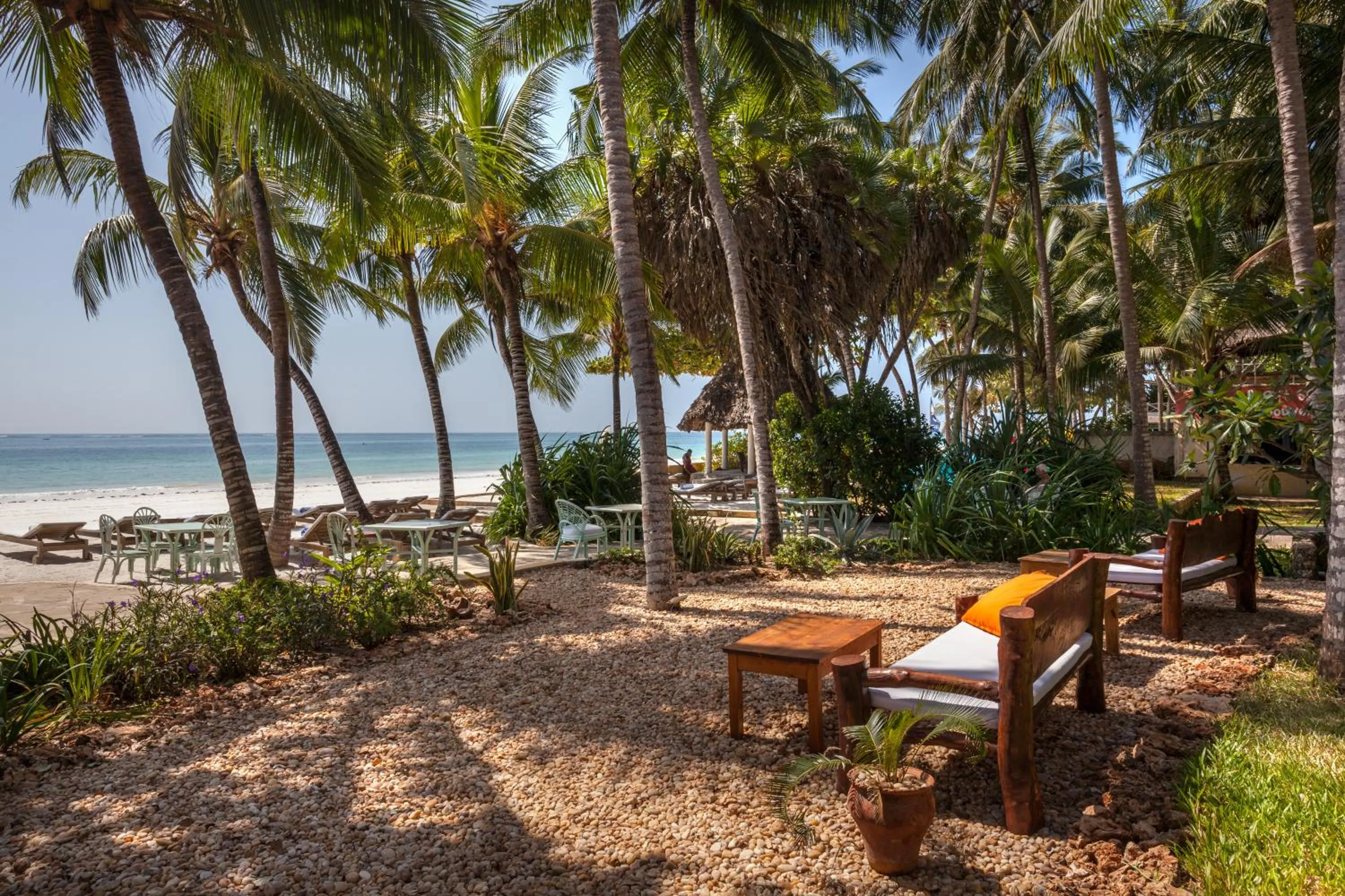 Beach in Blue Marlin Beach Hotel