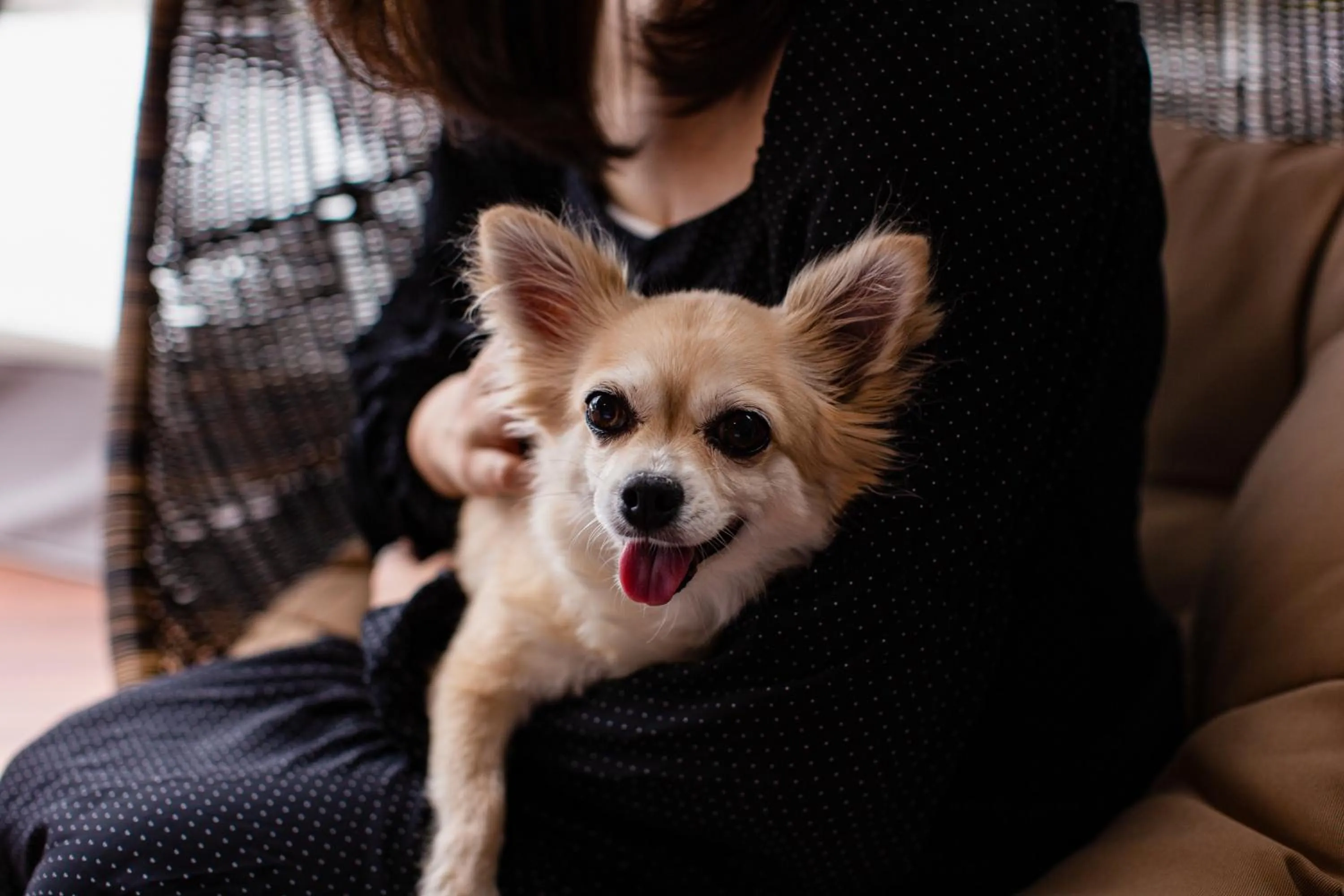 Other in Mt.Fujiグランピングテラス　嶺乃華