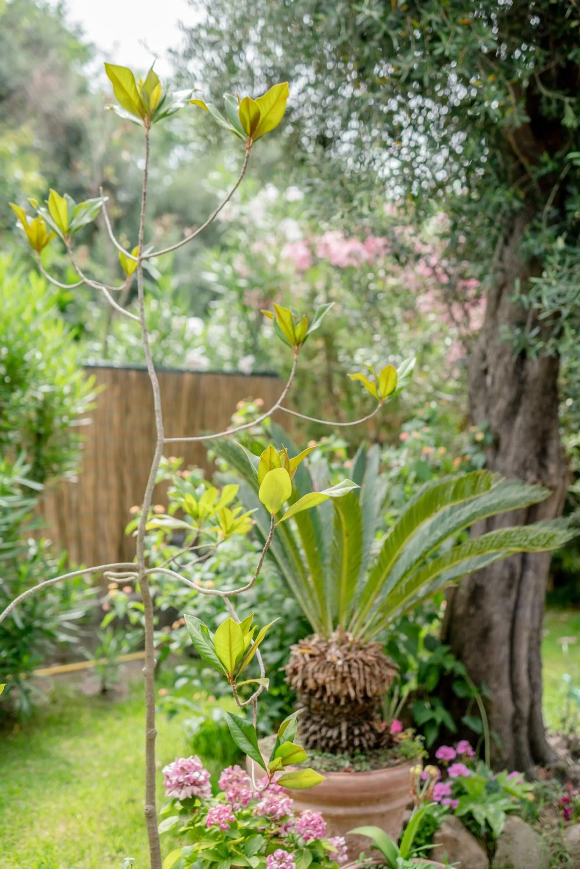 Property building in Solcalante