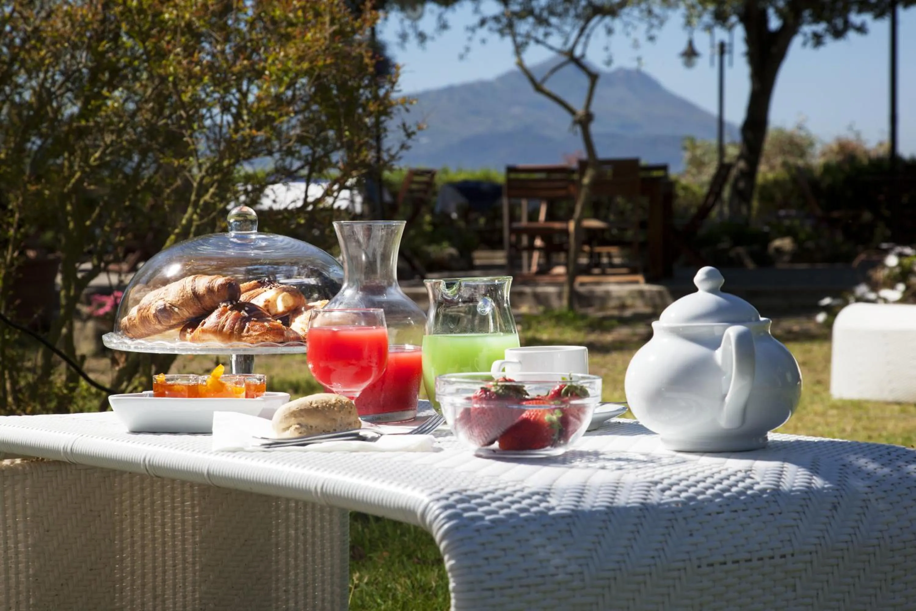 Garden in Solcalante