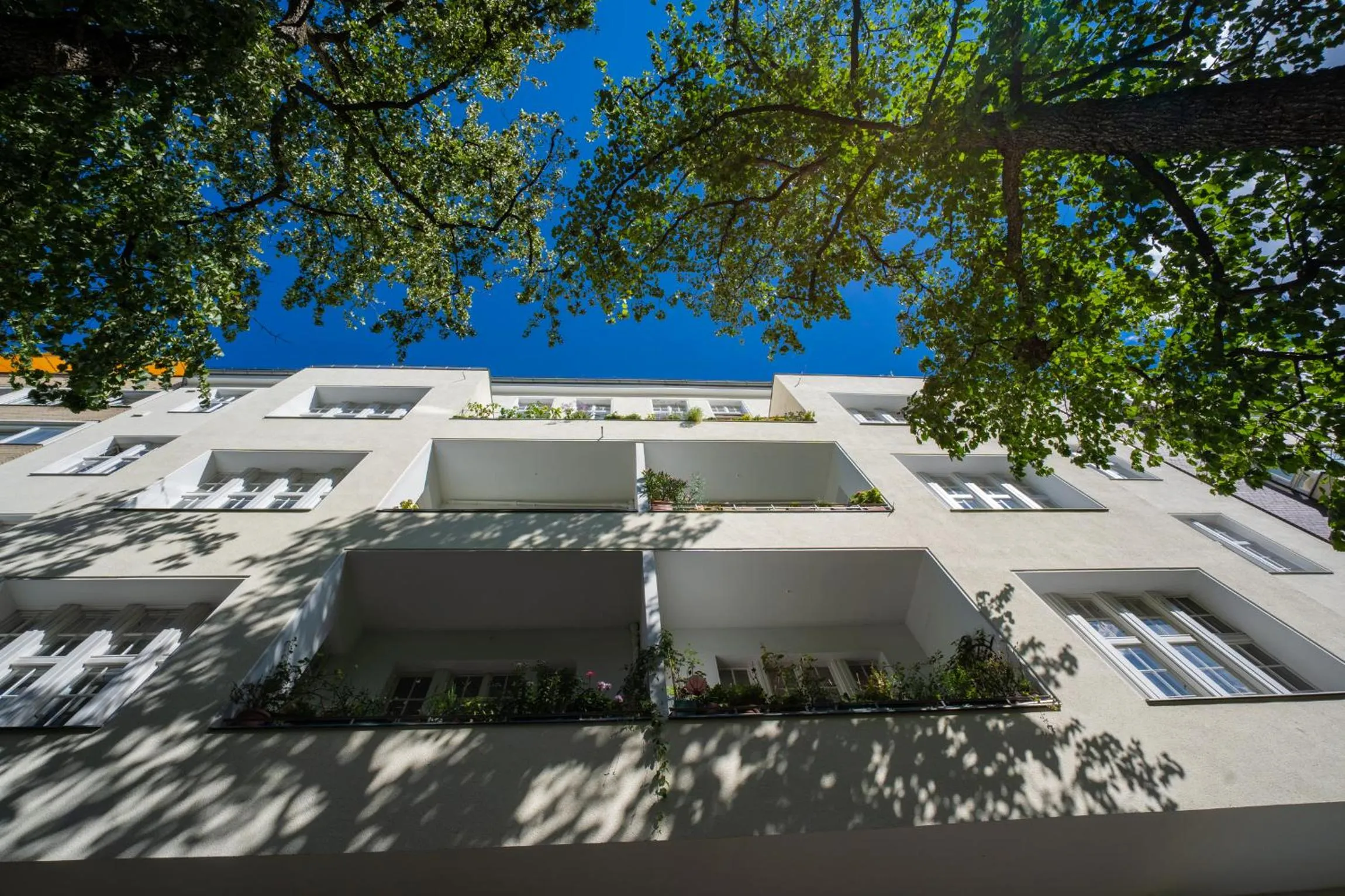 Property building in Hotel Bregenz