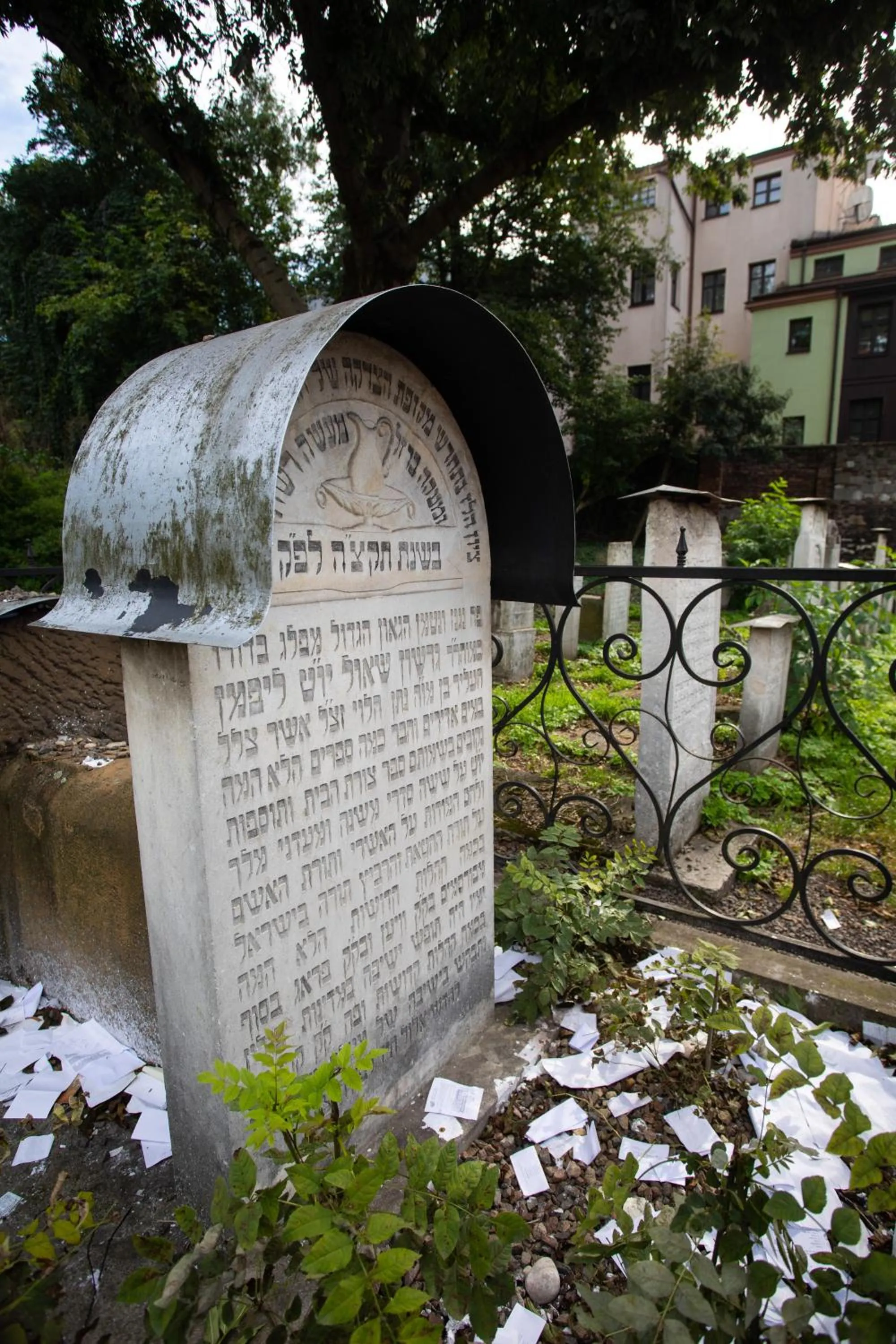 Garden view in David Boutique Hotel