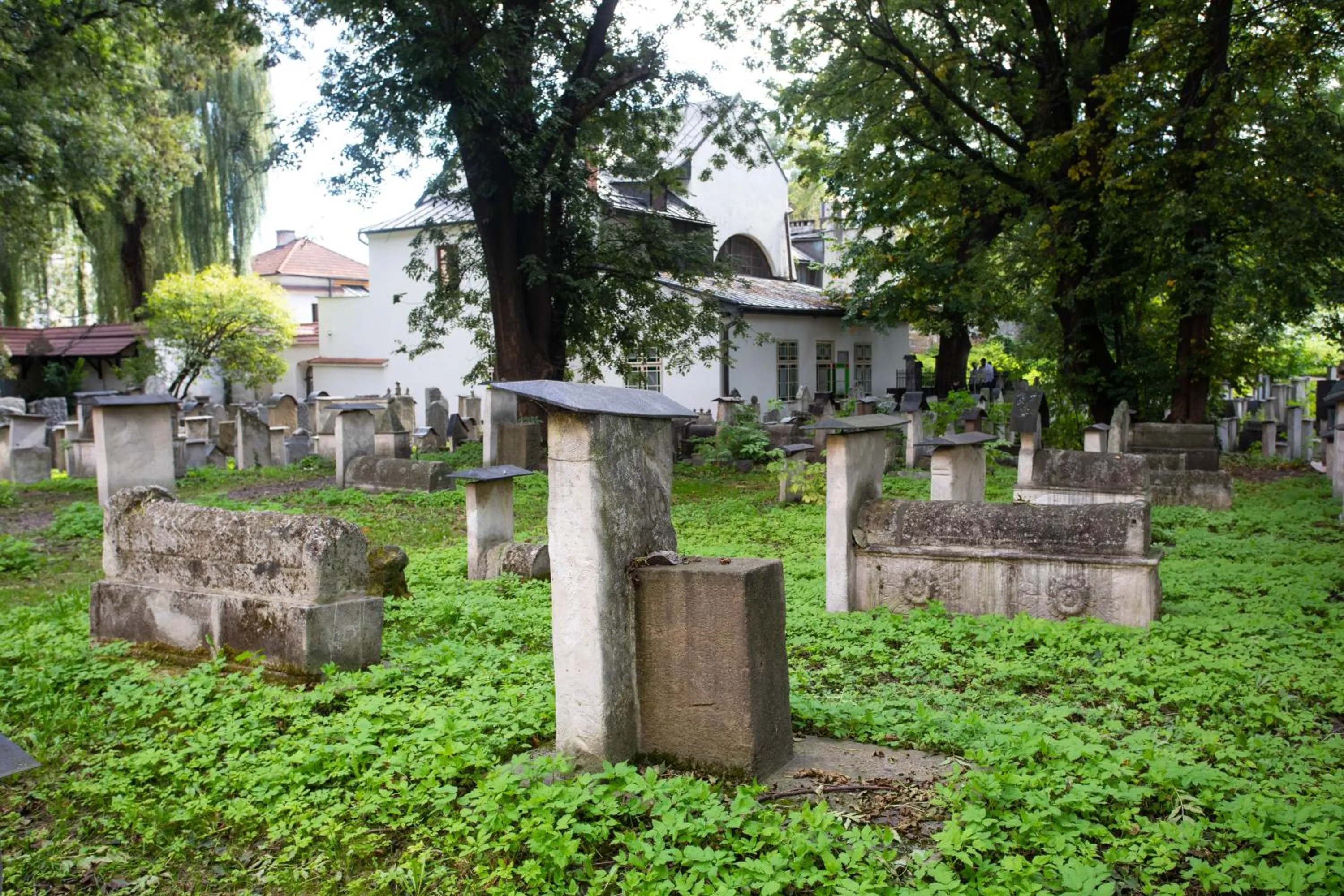 Garden view in David Boutique Hotel