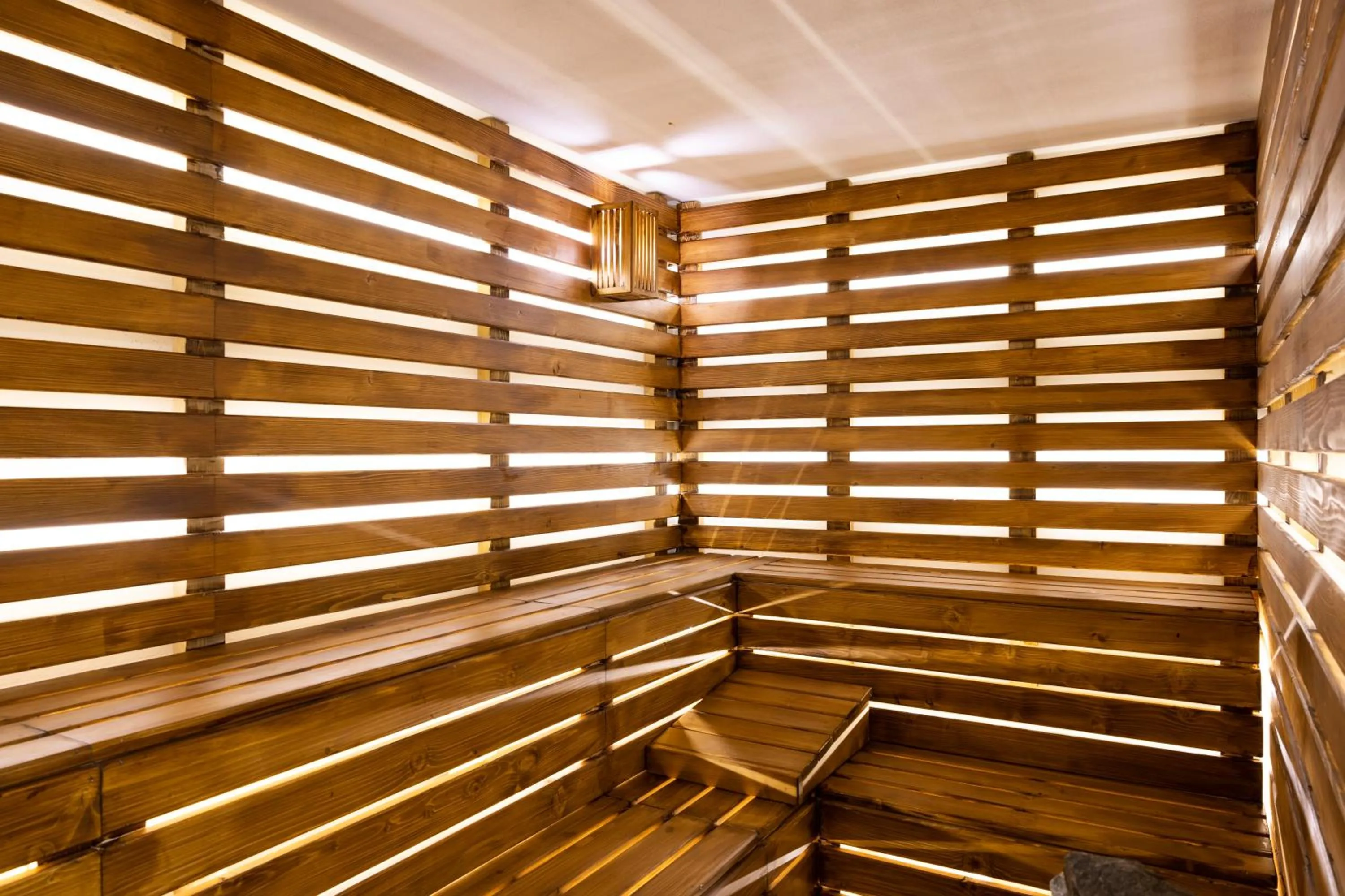Sauna in Hotel Vita Naturalis