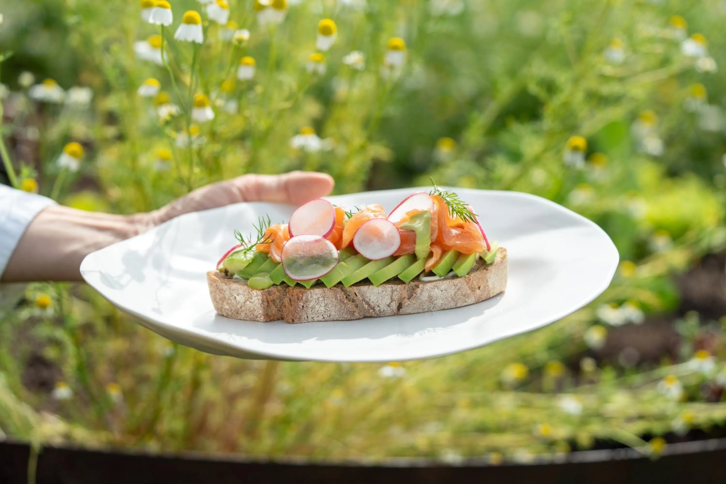 Breakfast in Badia Hill