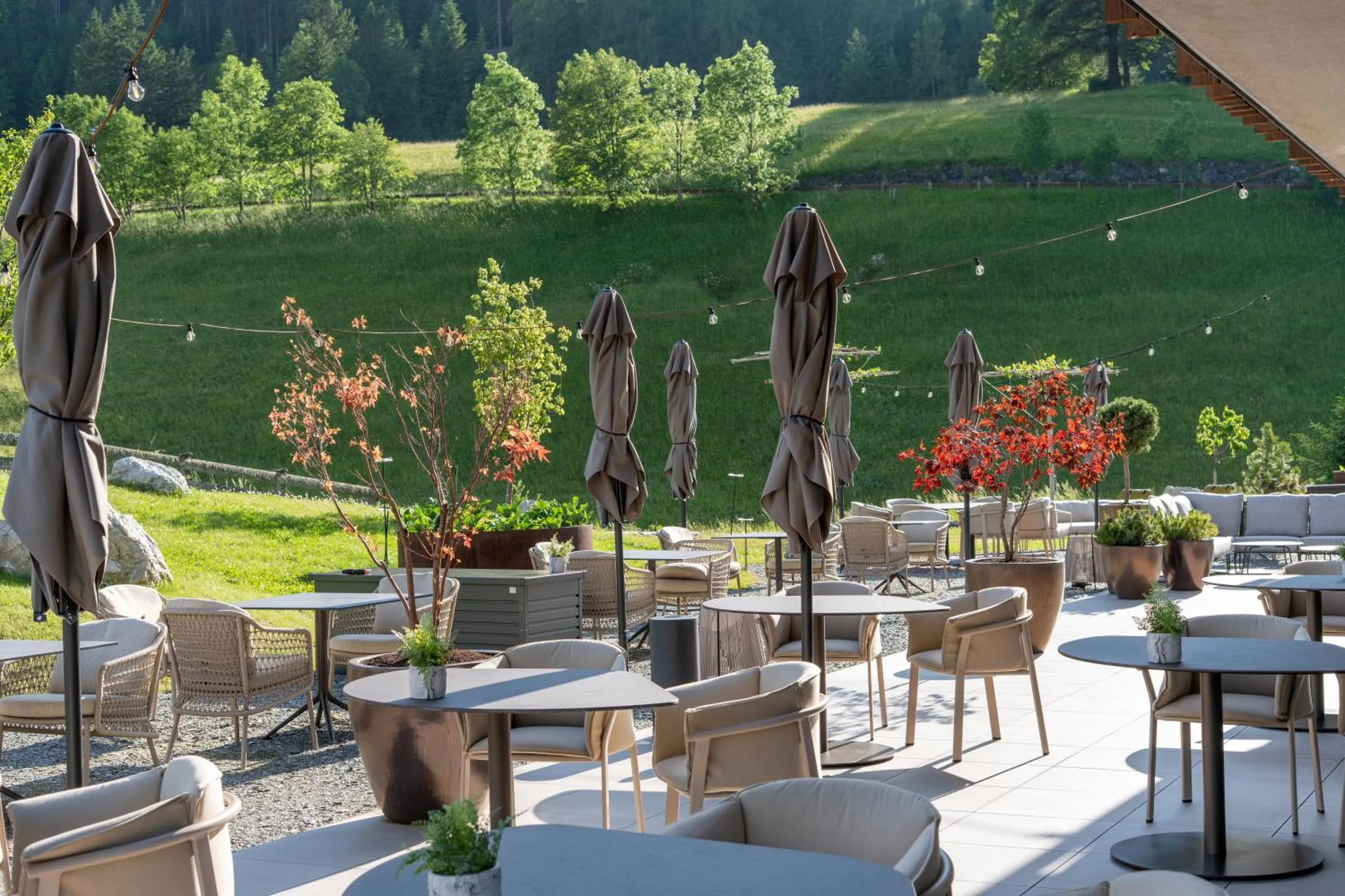 Garden in Badia Hill