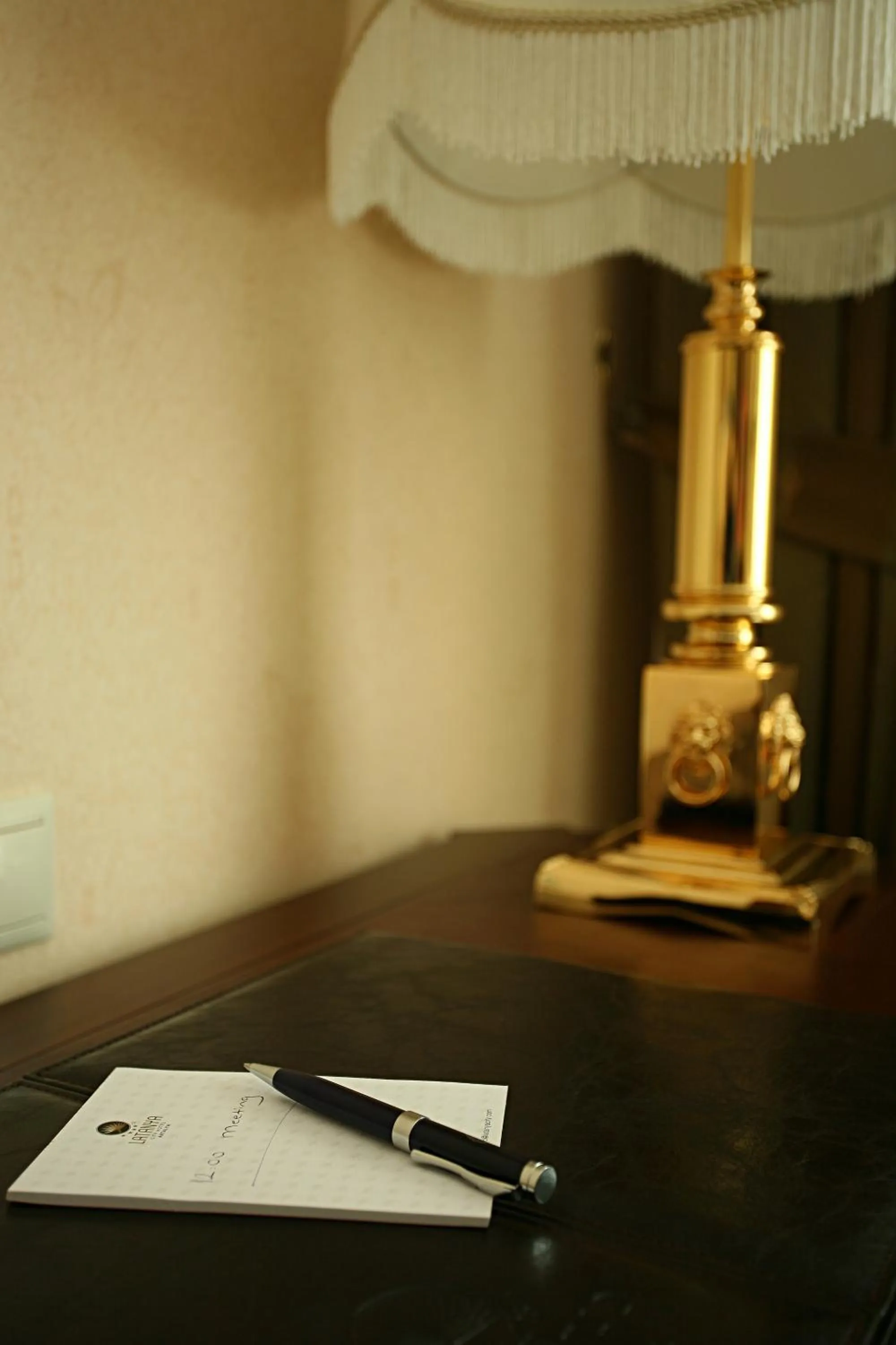 Decorative detail in Latanya Palm & SPA Airport Antalya