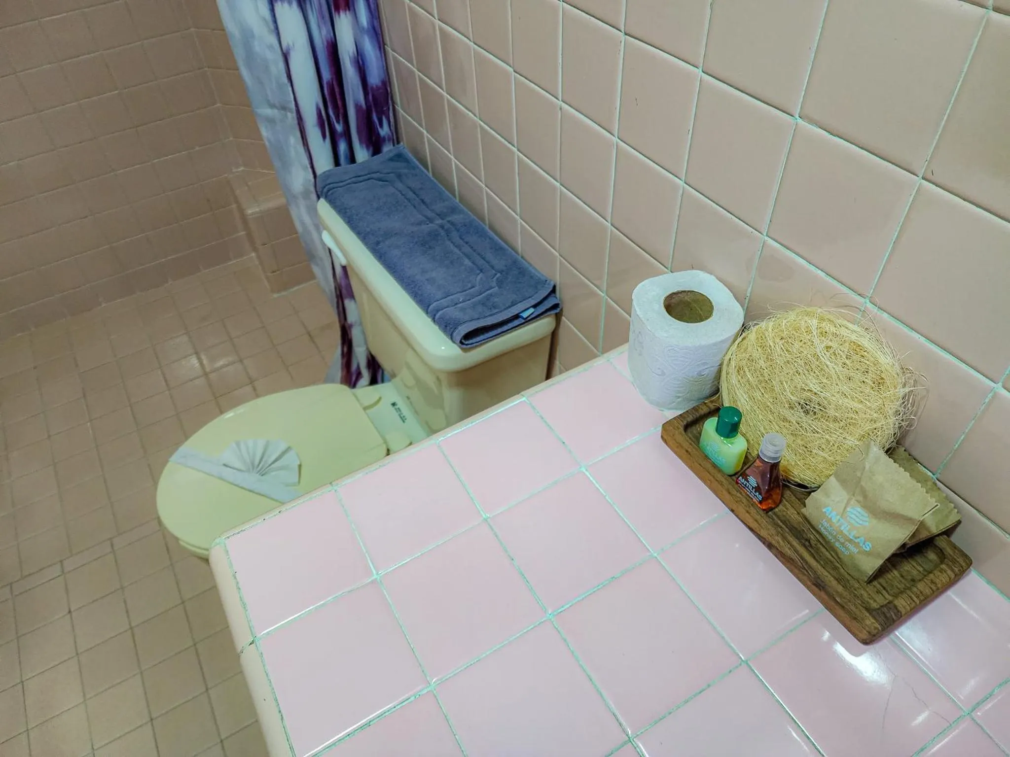 Bathroom in Antillas