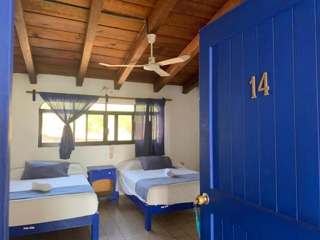 Photo of the whole room, Bed in MayFlower Hotel & Hostal