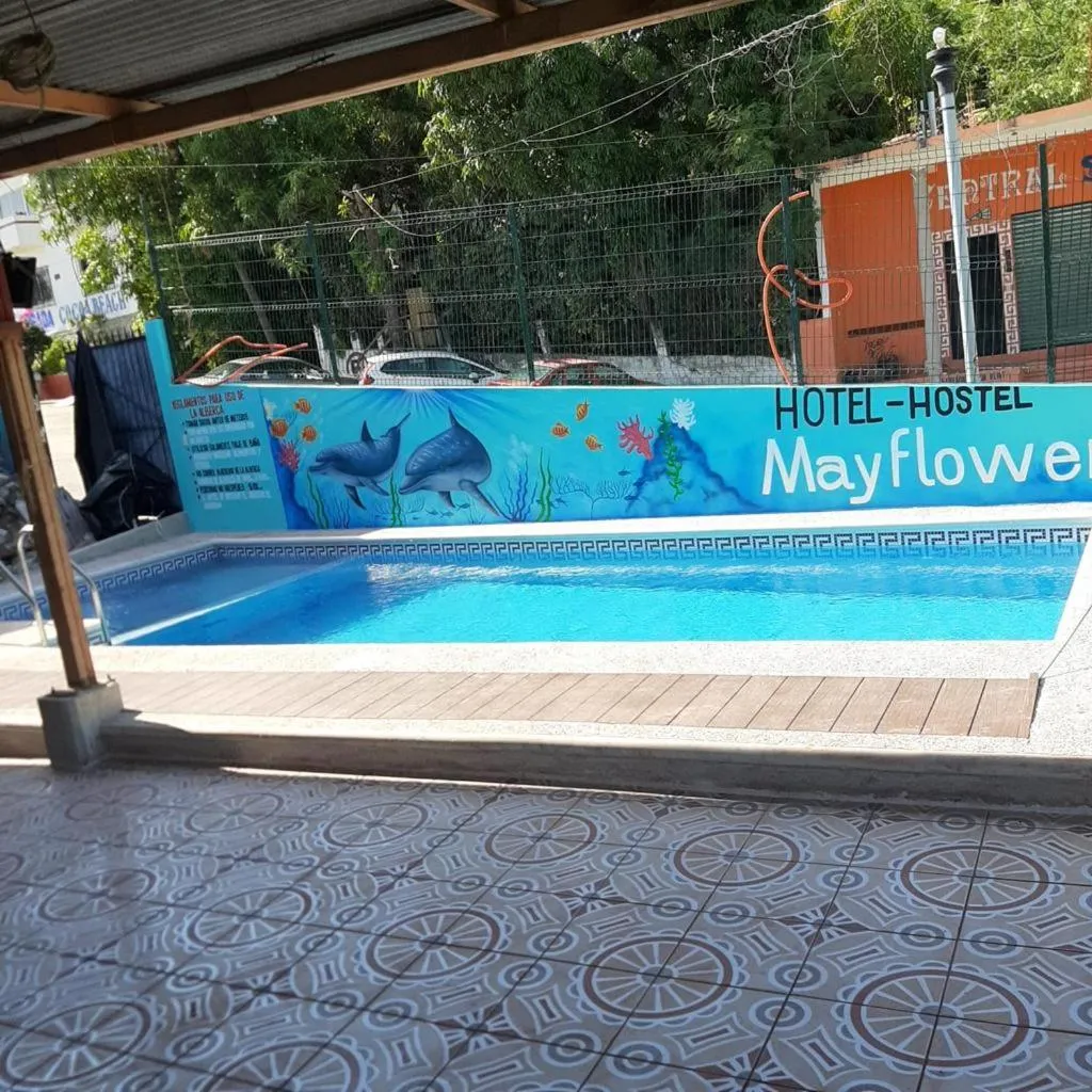 Pool view in MayFlower Hotel & Hostal