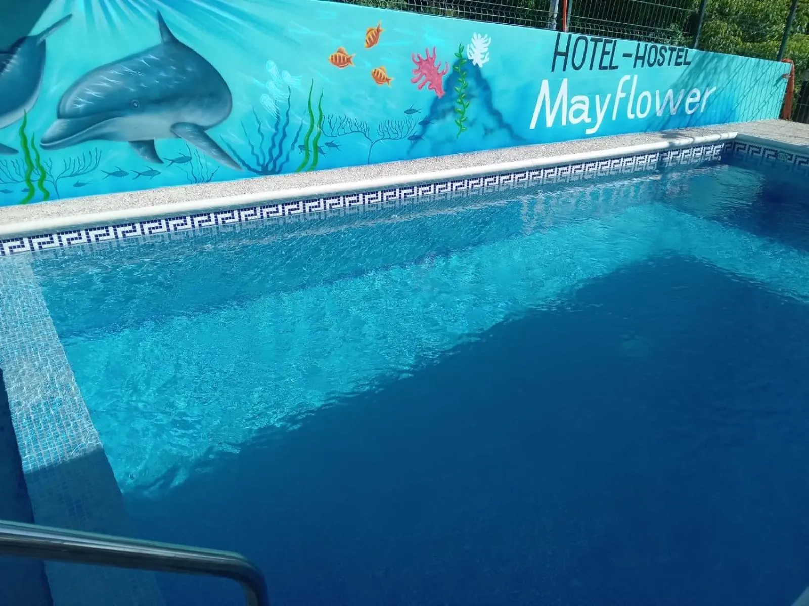 Pool view in MayFlower Hotel & Hostal