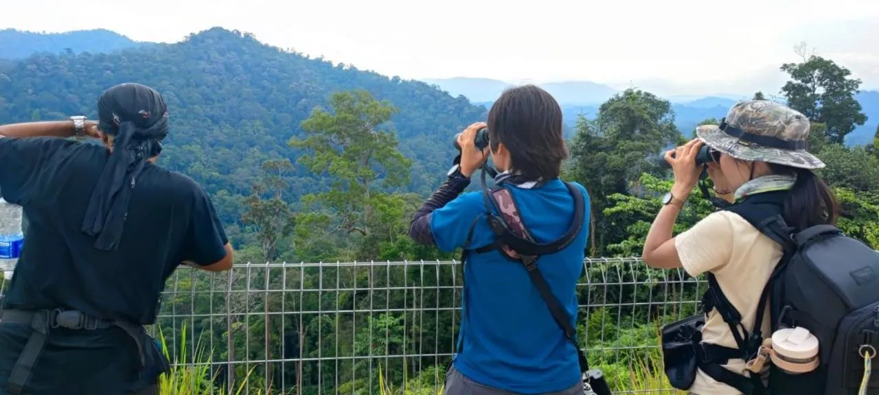 Tekoma Resort Taman Negara