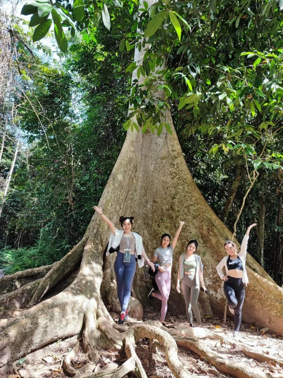 Day in Tekoma Resort Taman Negara