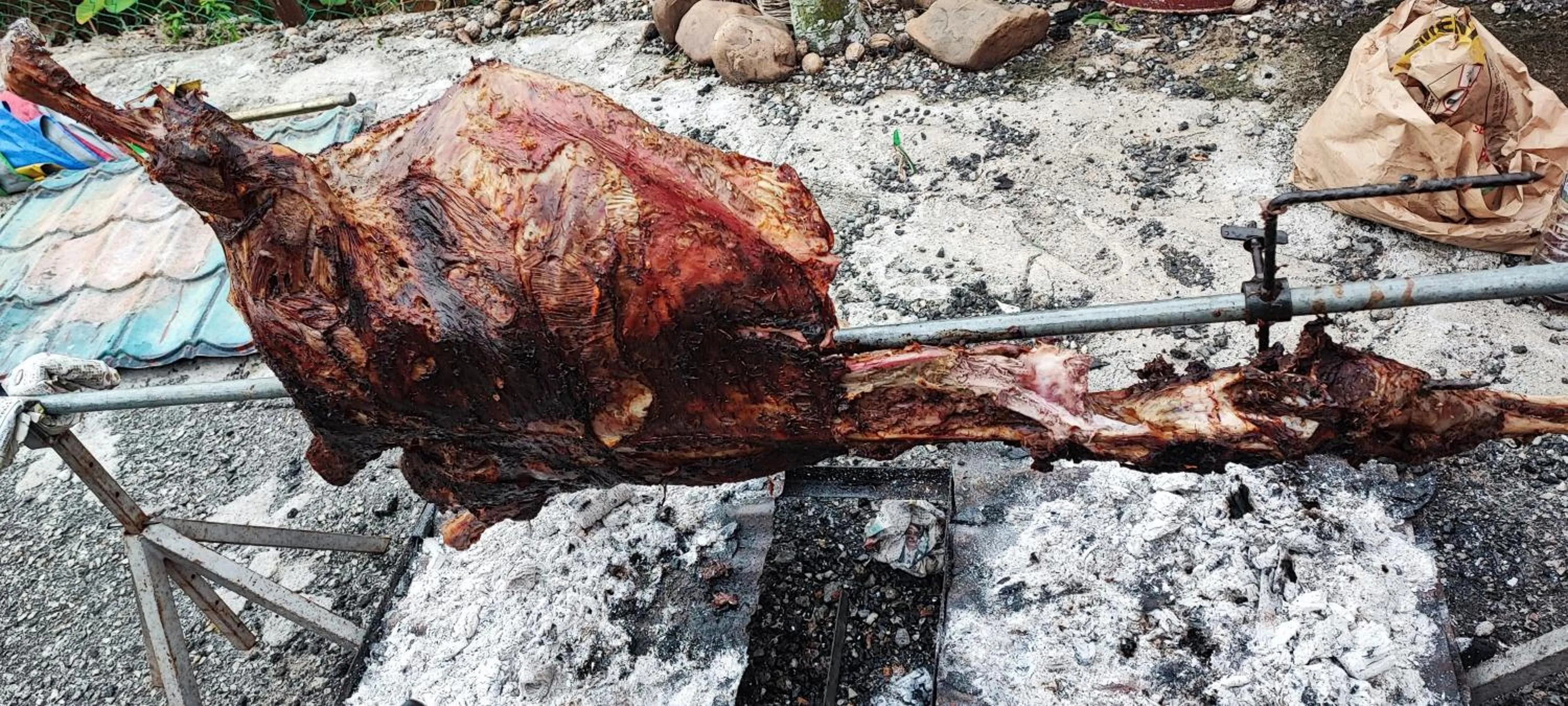 Day in Tekoma Resort Taman Negara