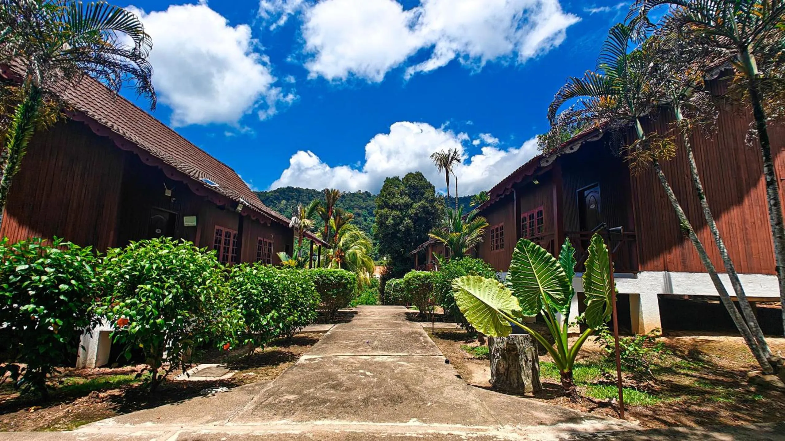 Tekoma Resort Taman Negara