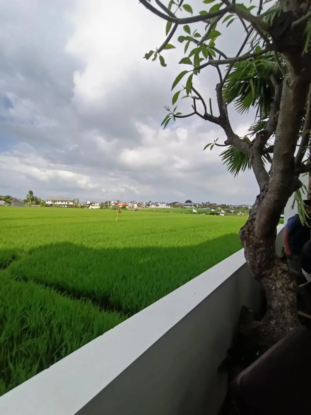 Day in The Kd Suites & Coffee Shop