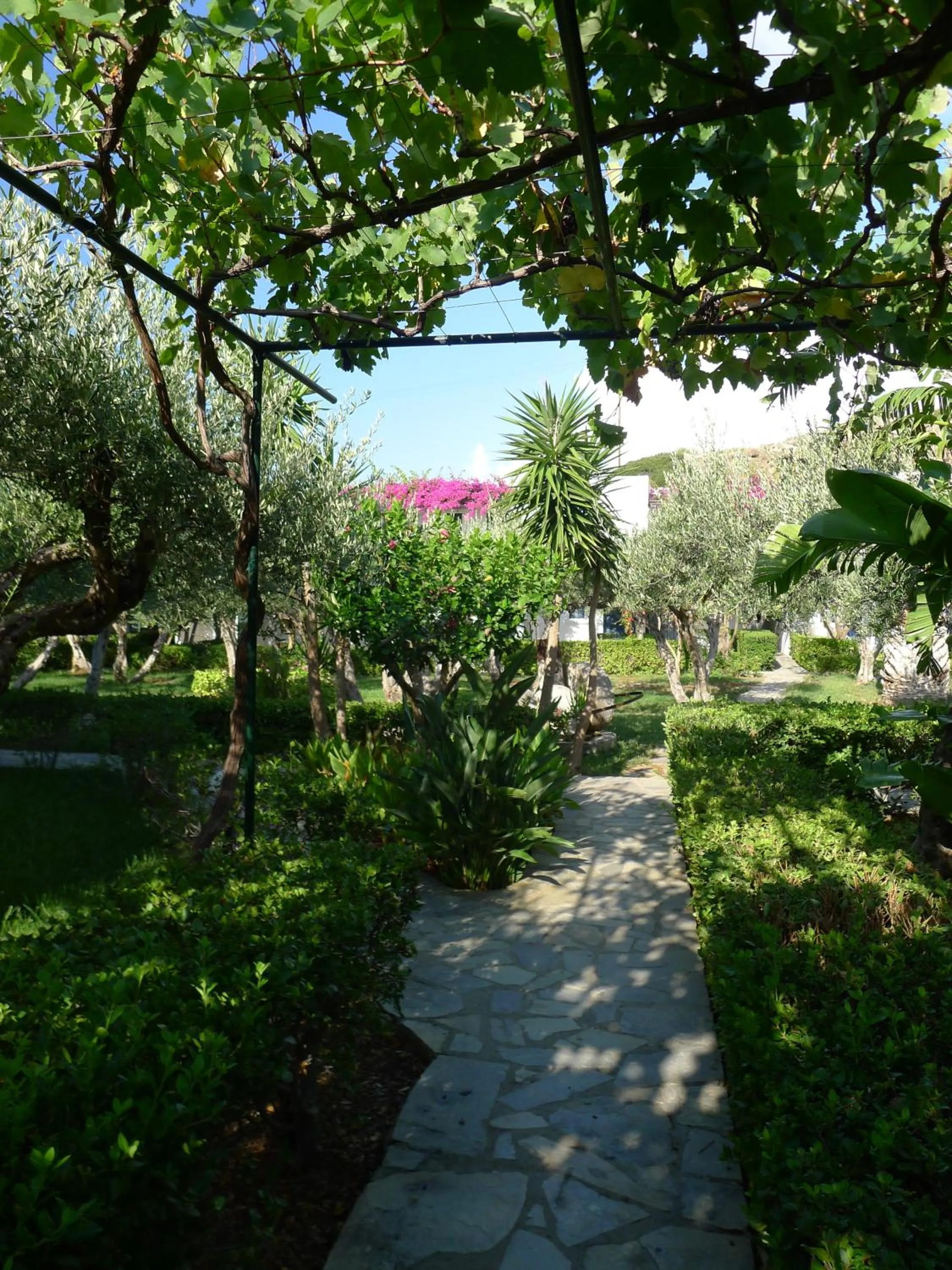 Garden in Villea Village