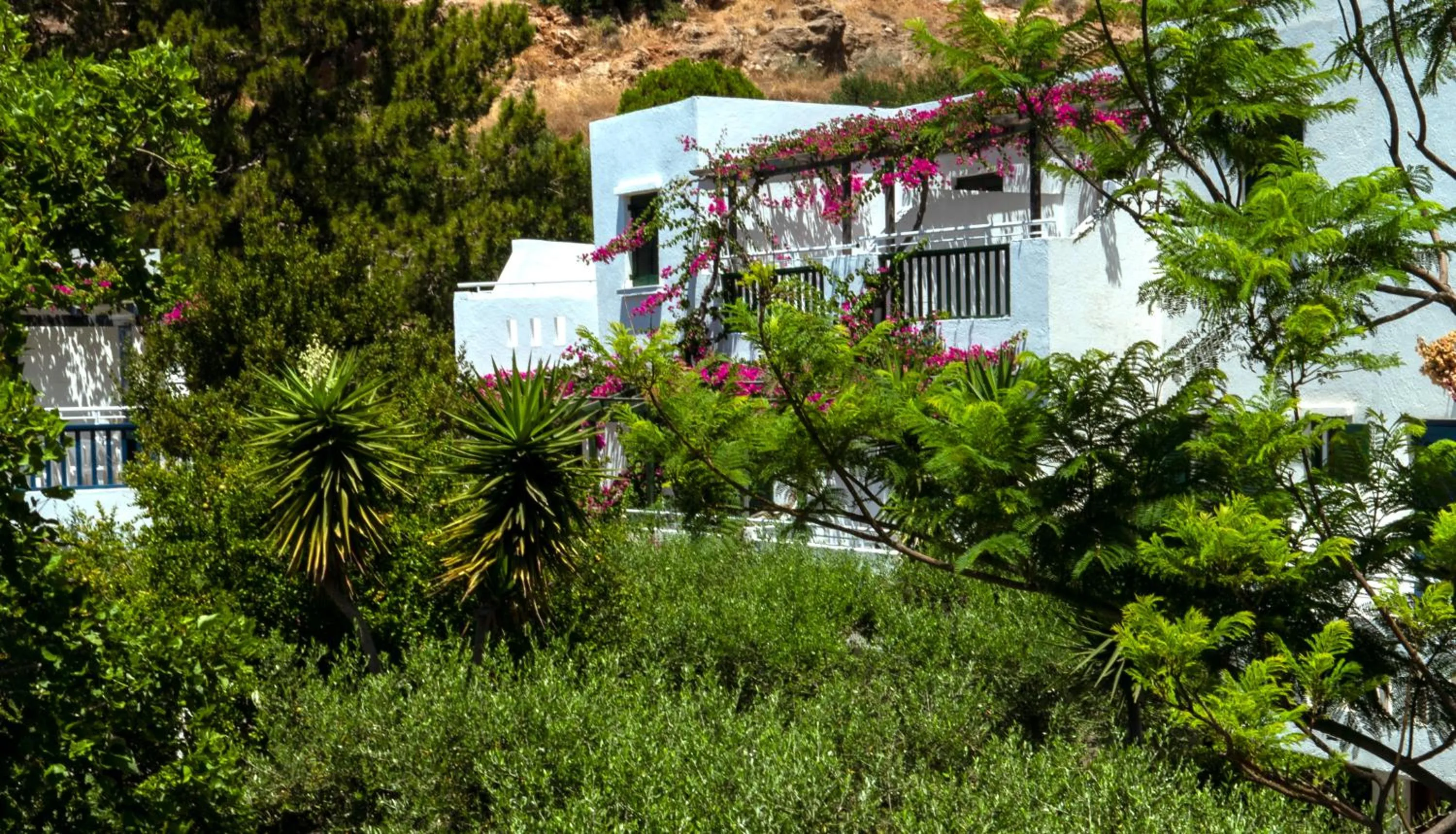 Property building in Villea Village