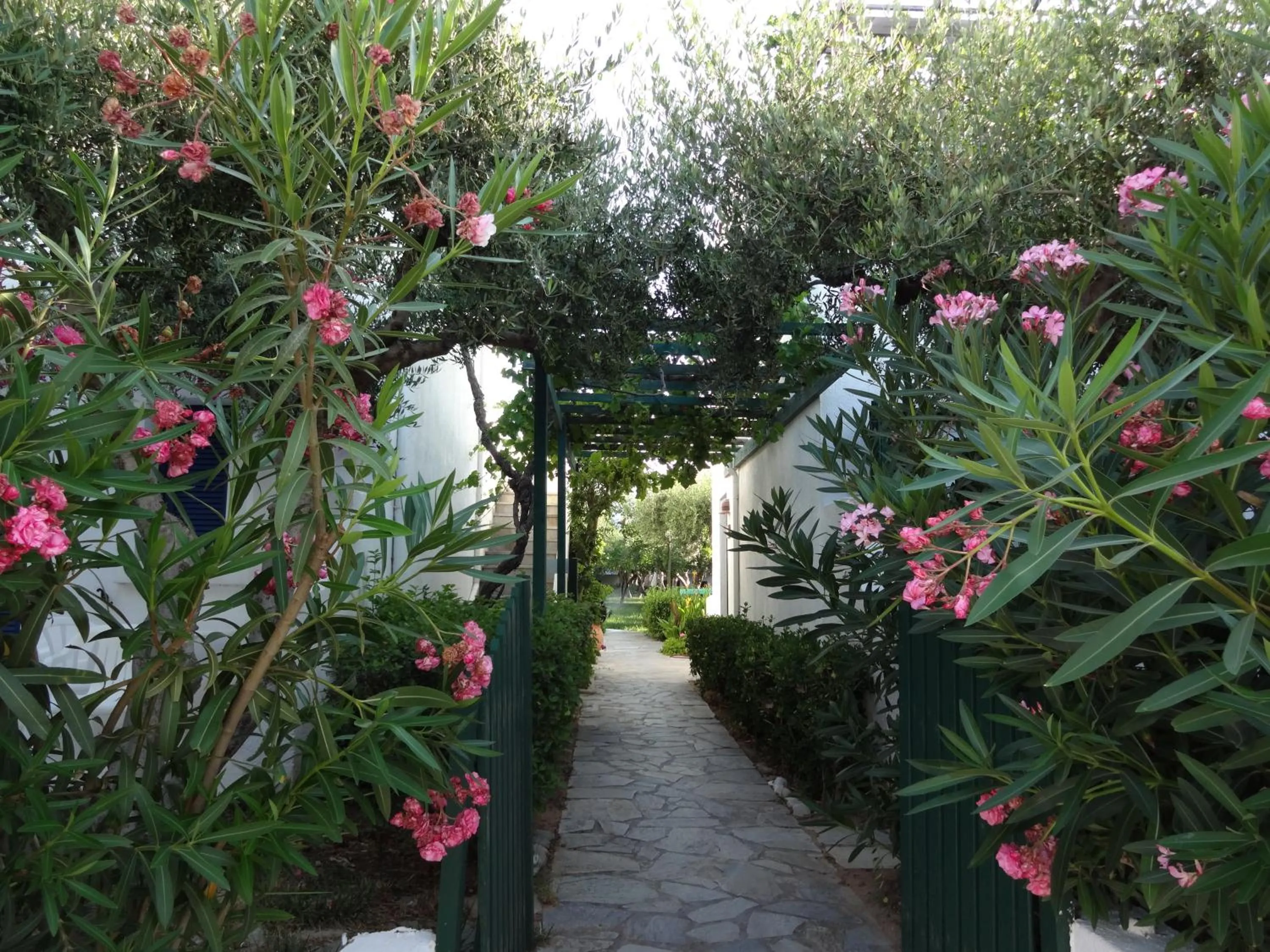 Garden in Villea Village