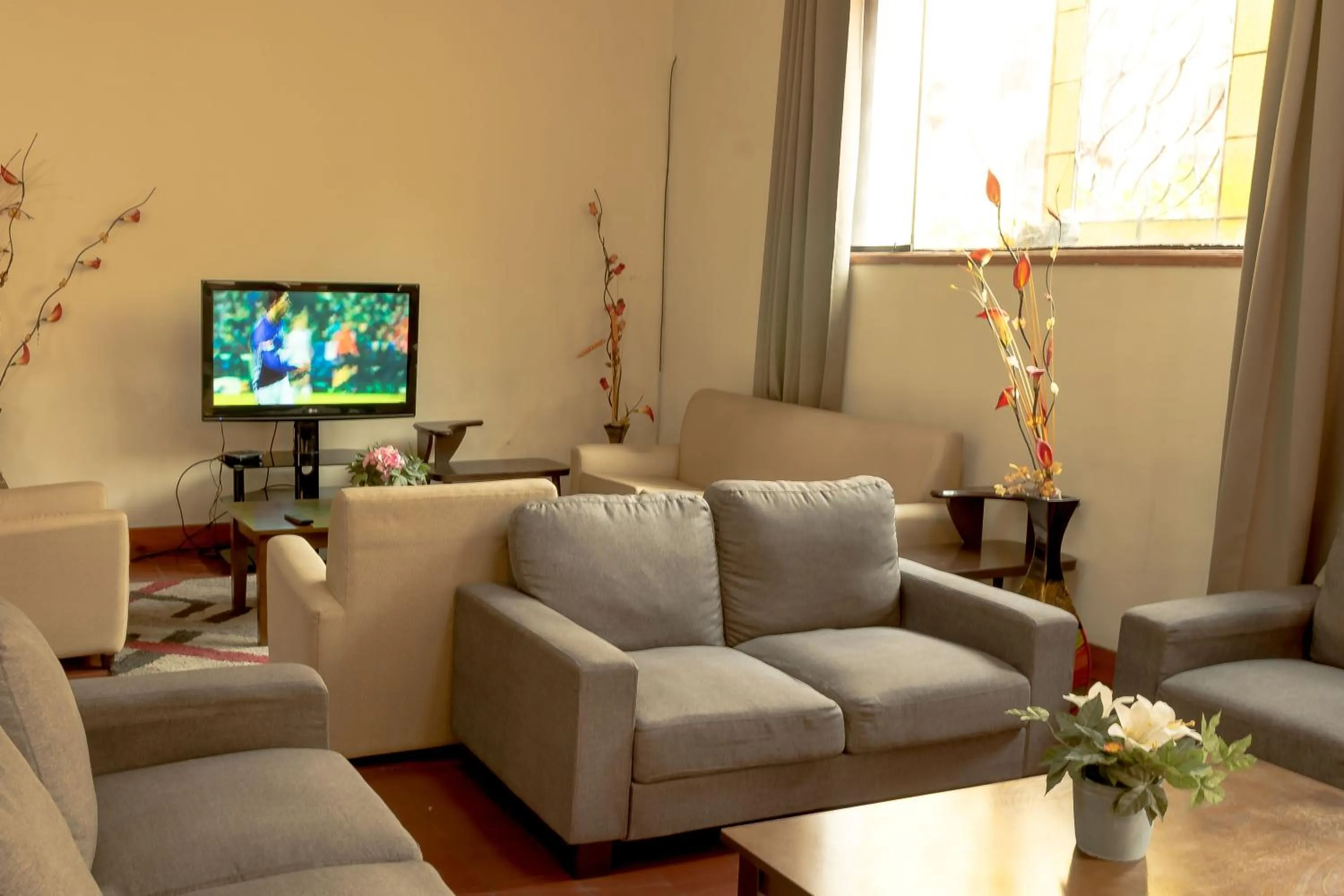 Library in Casa de Avila