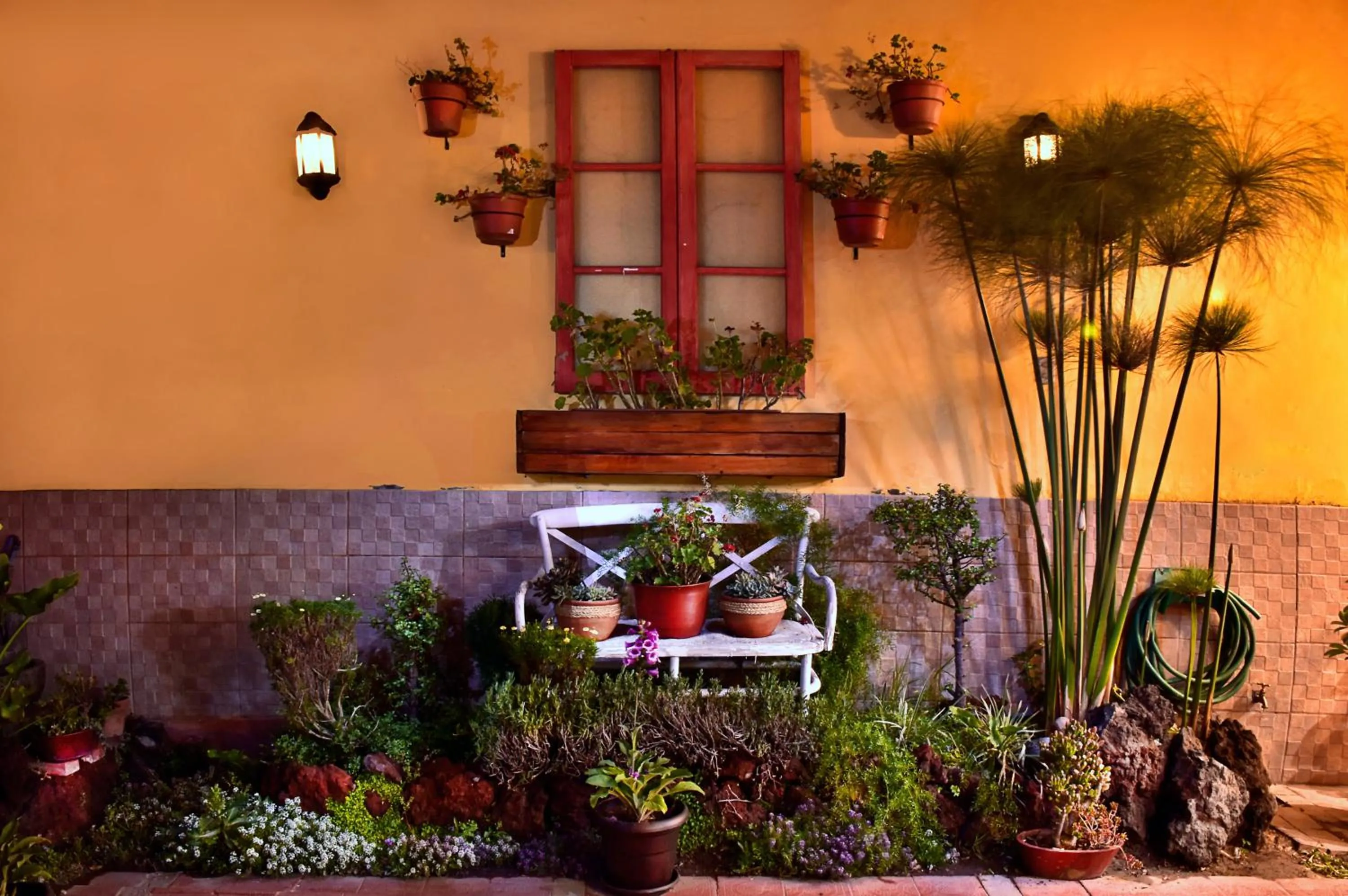 Patio in Casa de Avila