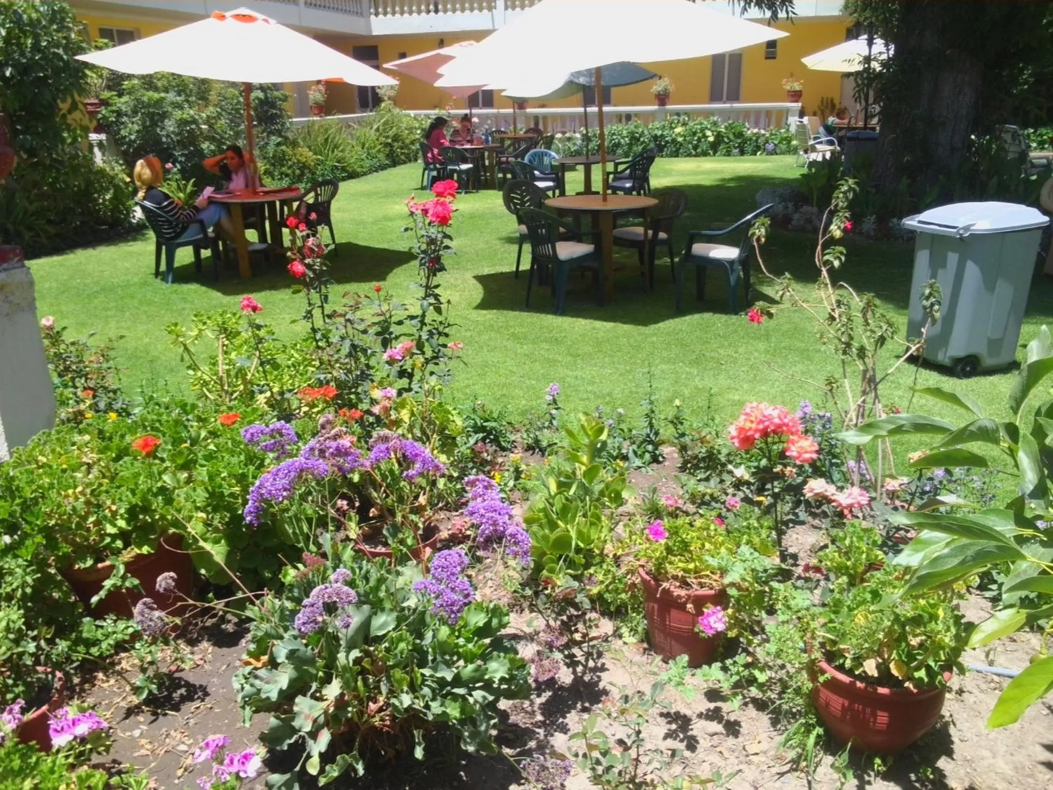 Garden in Casa de Avila