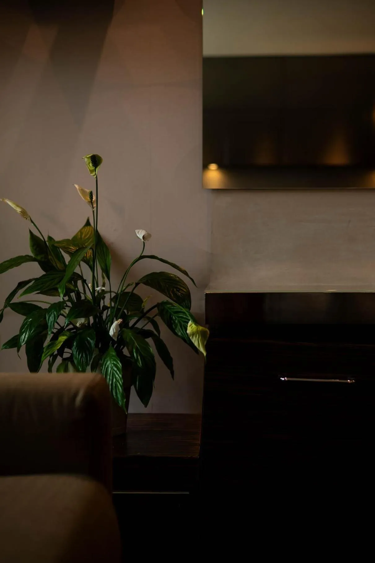 Axolute Comfort Hotel Como Cantù