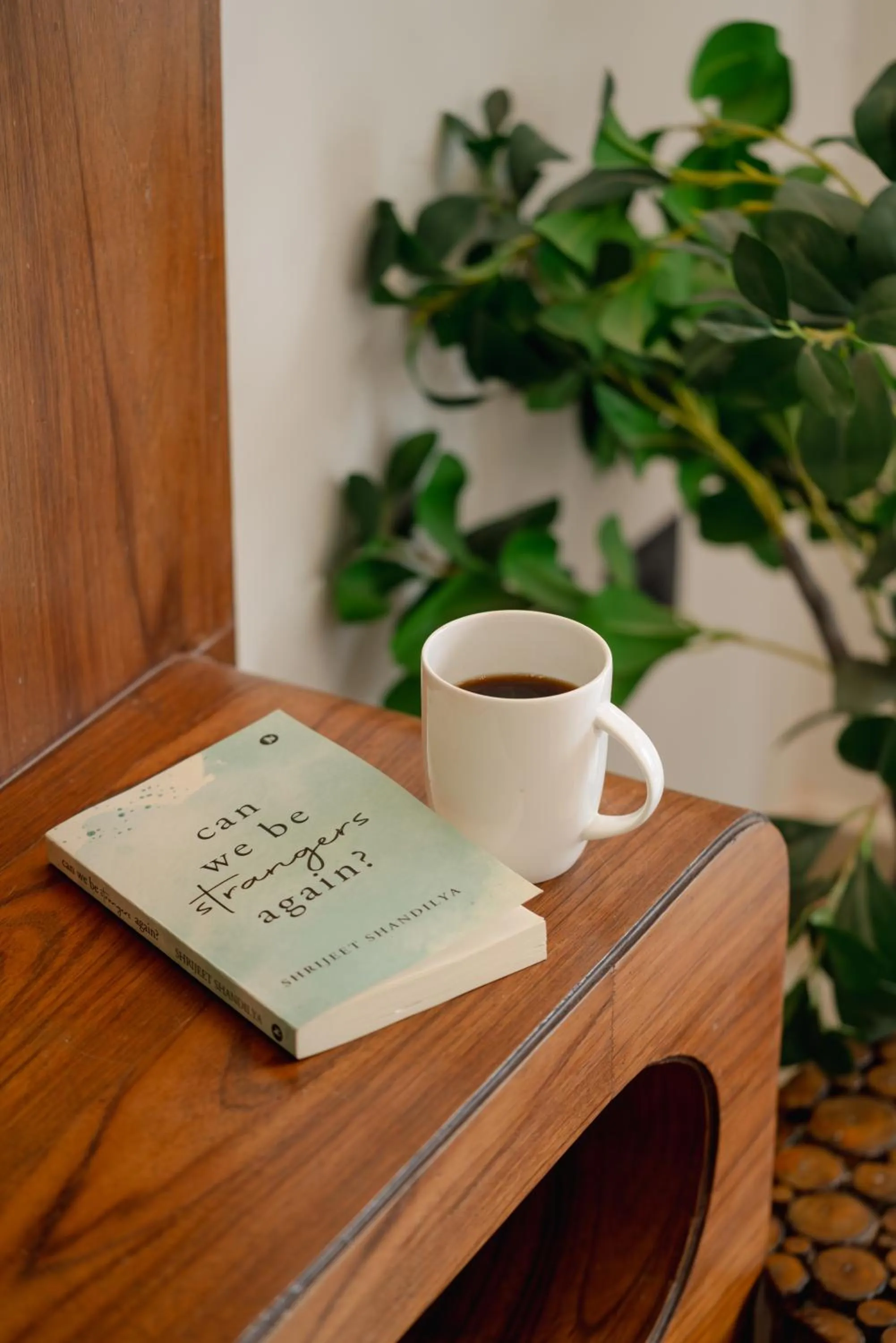 Library in House of lights