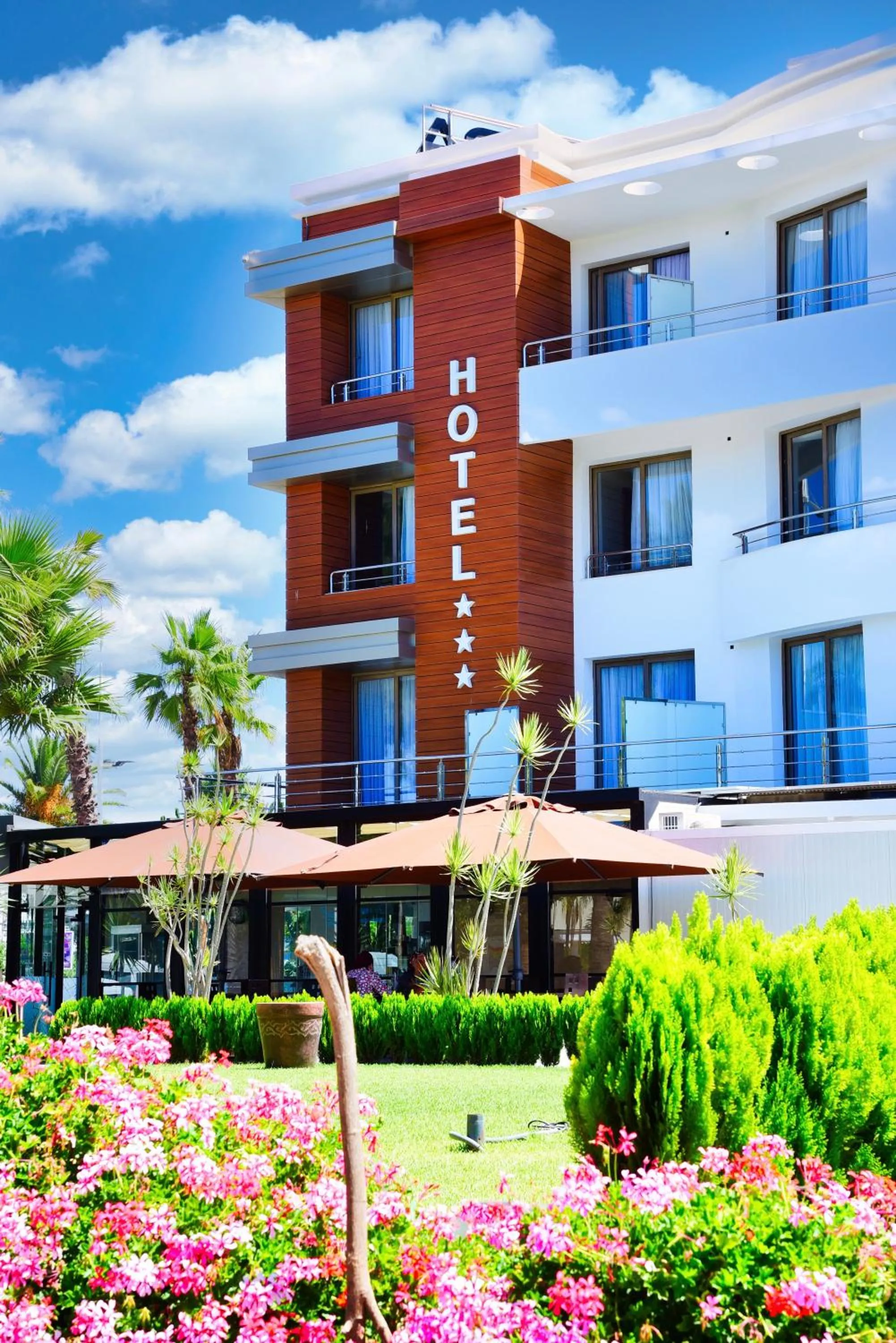 Garden in MIRANDA HOTEL - Tanger