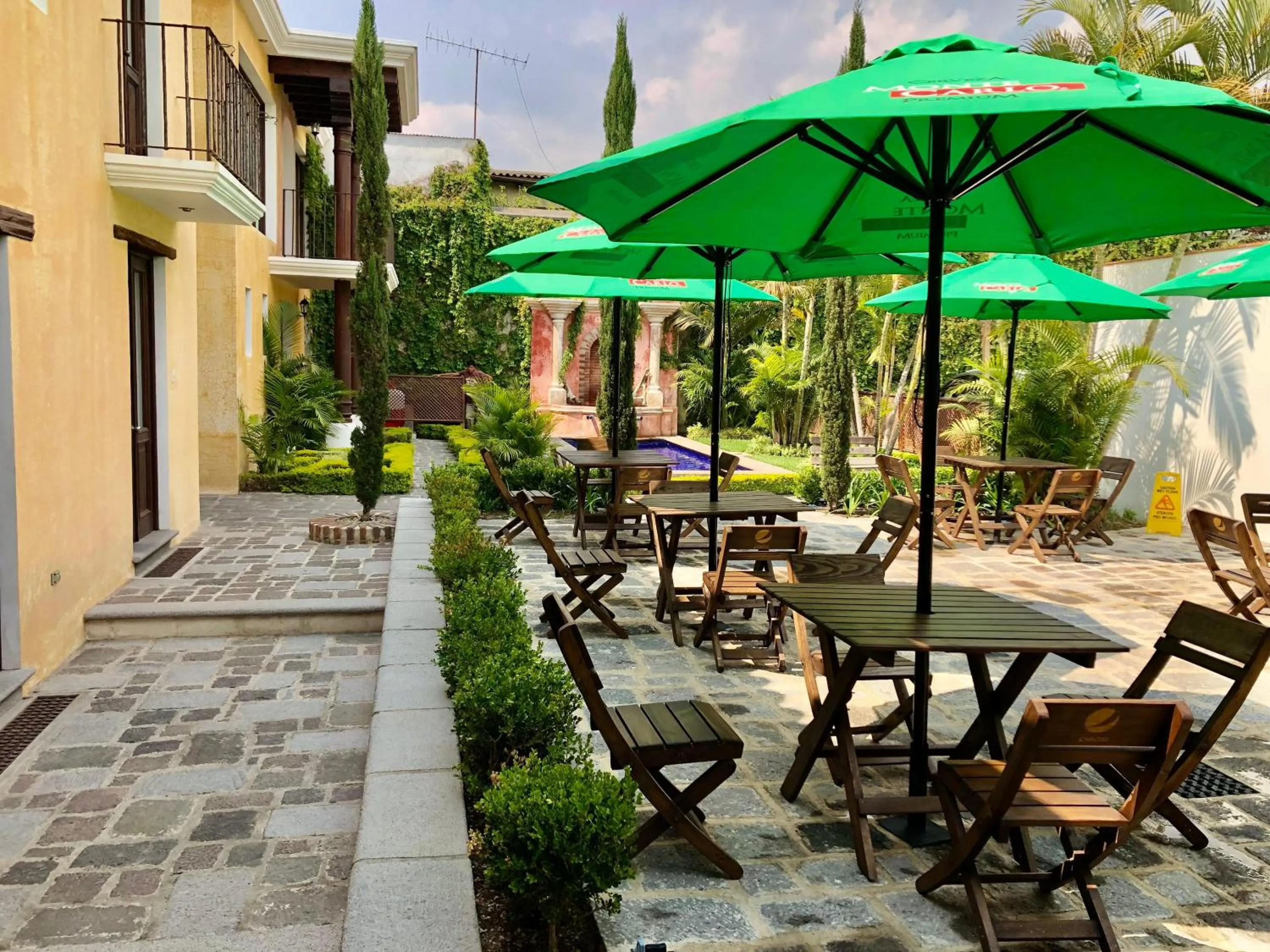 Garden view in Casa Mia Hotel