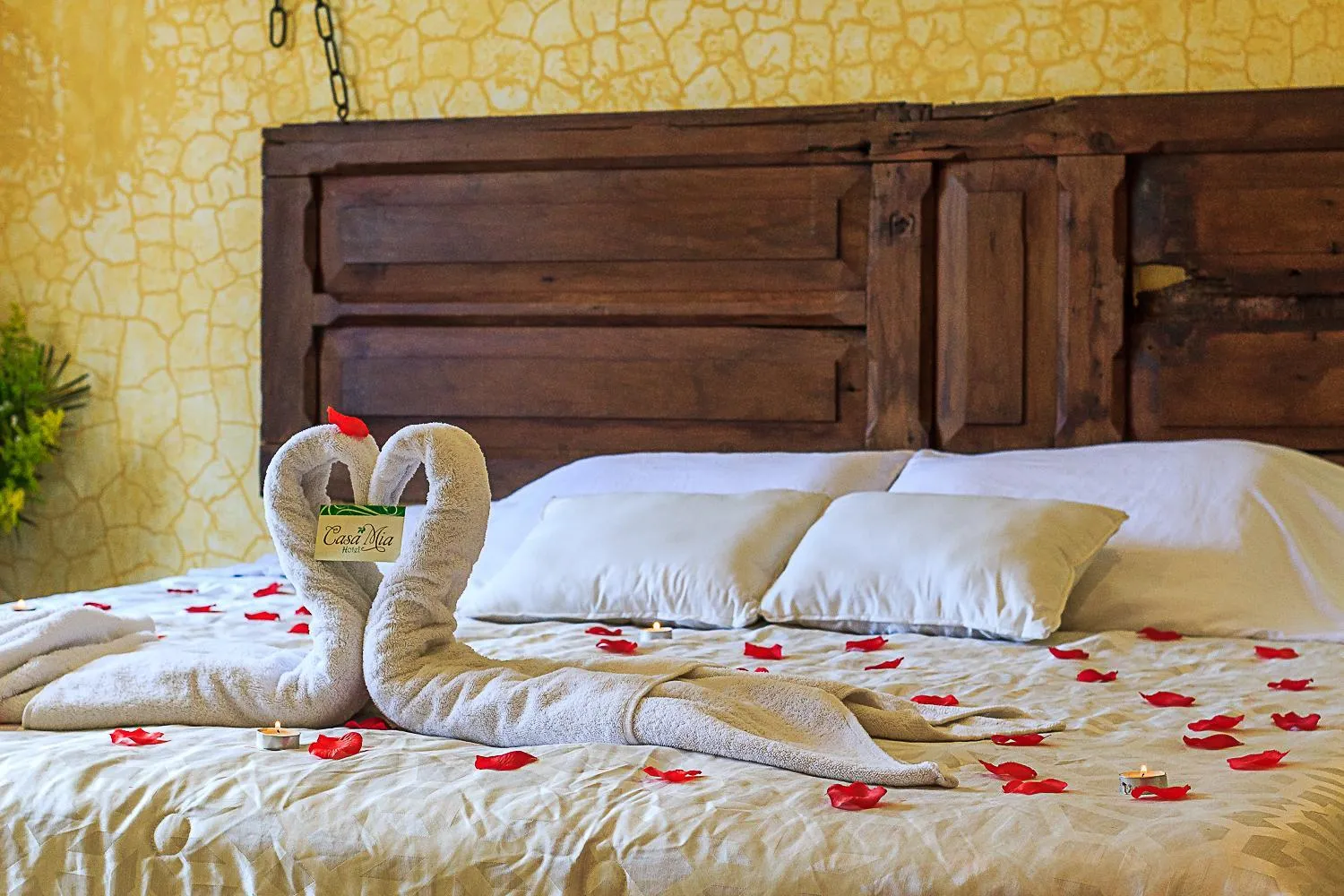 Decorative detail, Bed in Casa Mia Hotel
